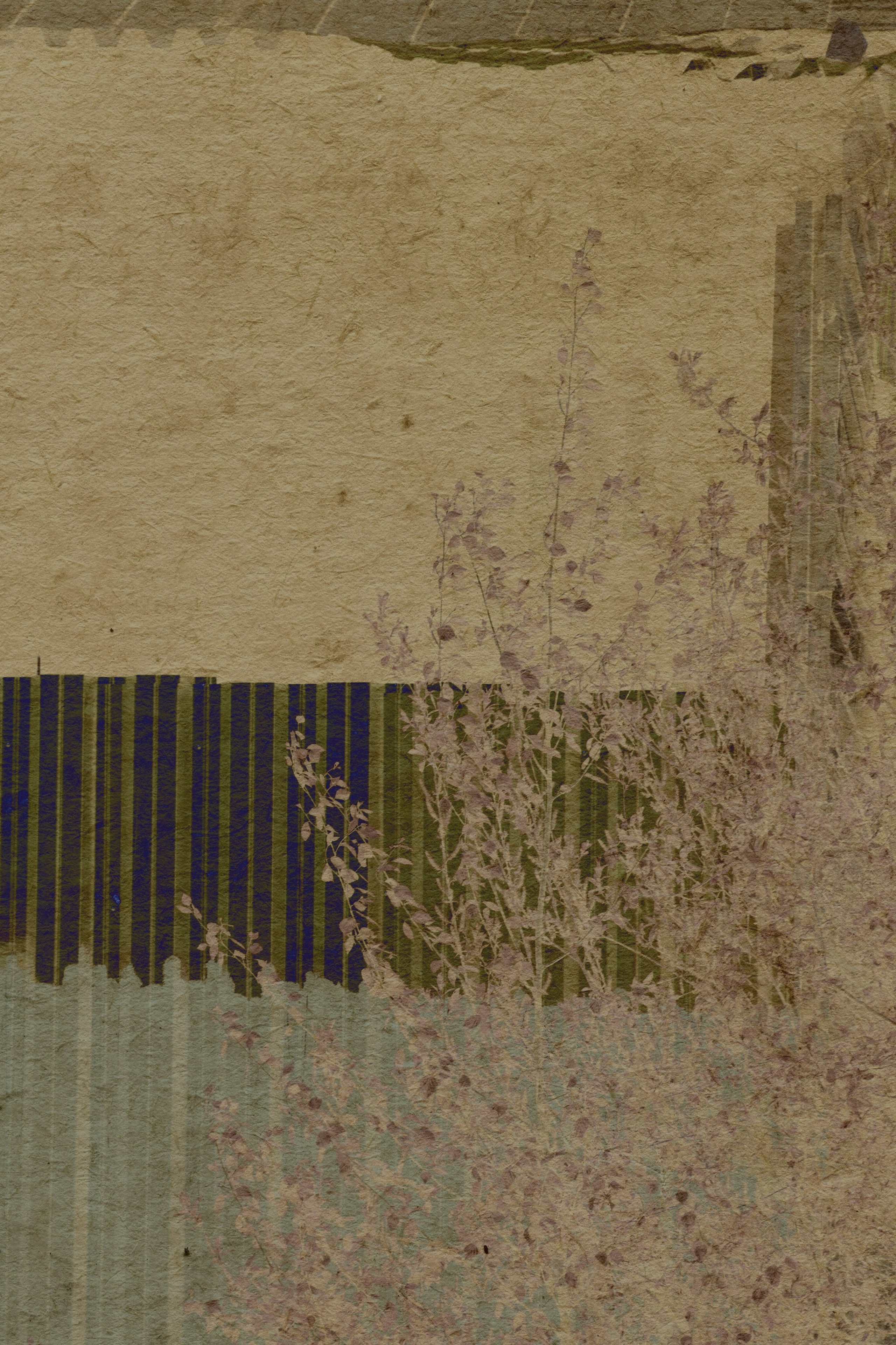 Lying on the grass. Anastasia Maryasova