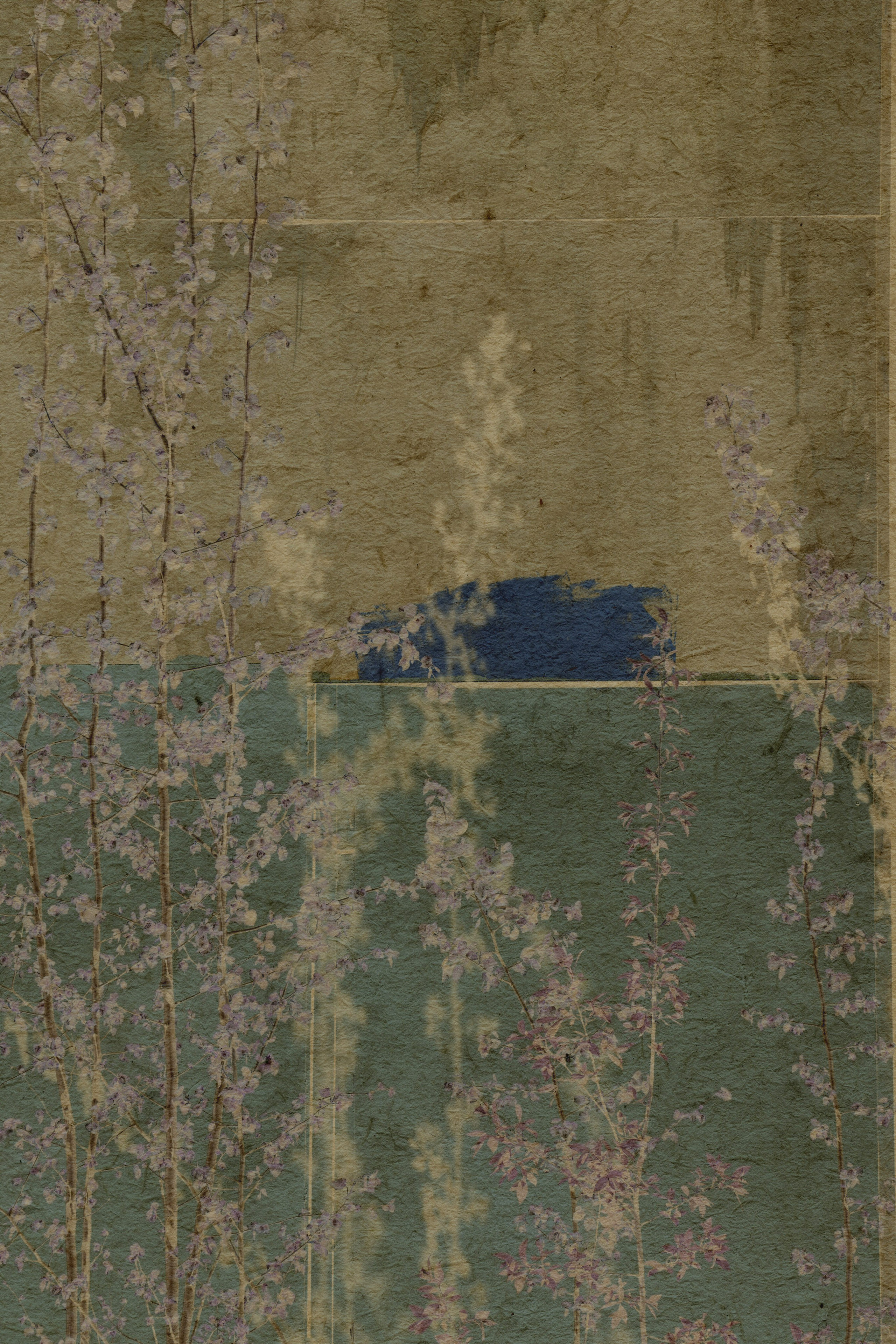 Lying on the grass. Anastasia Maryasova