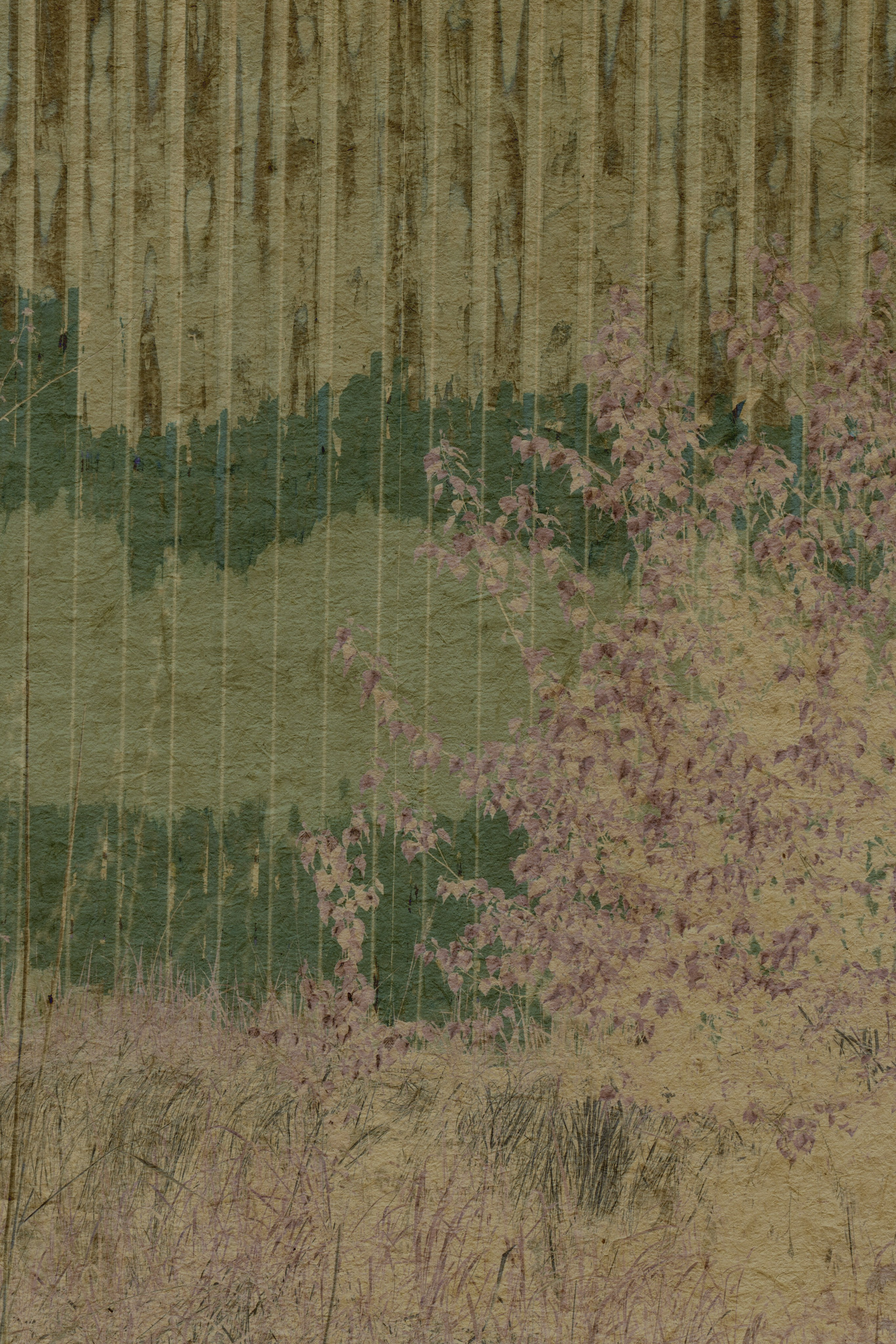 Lying on the grass. Anastasia Maryasova