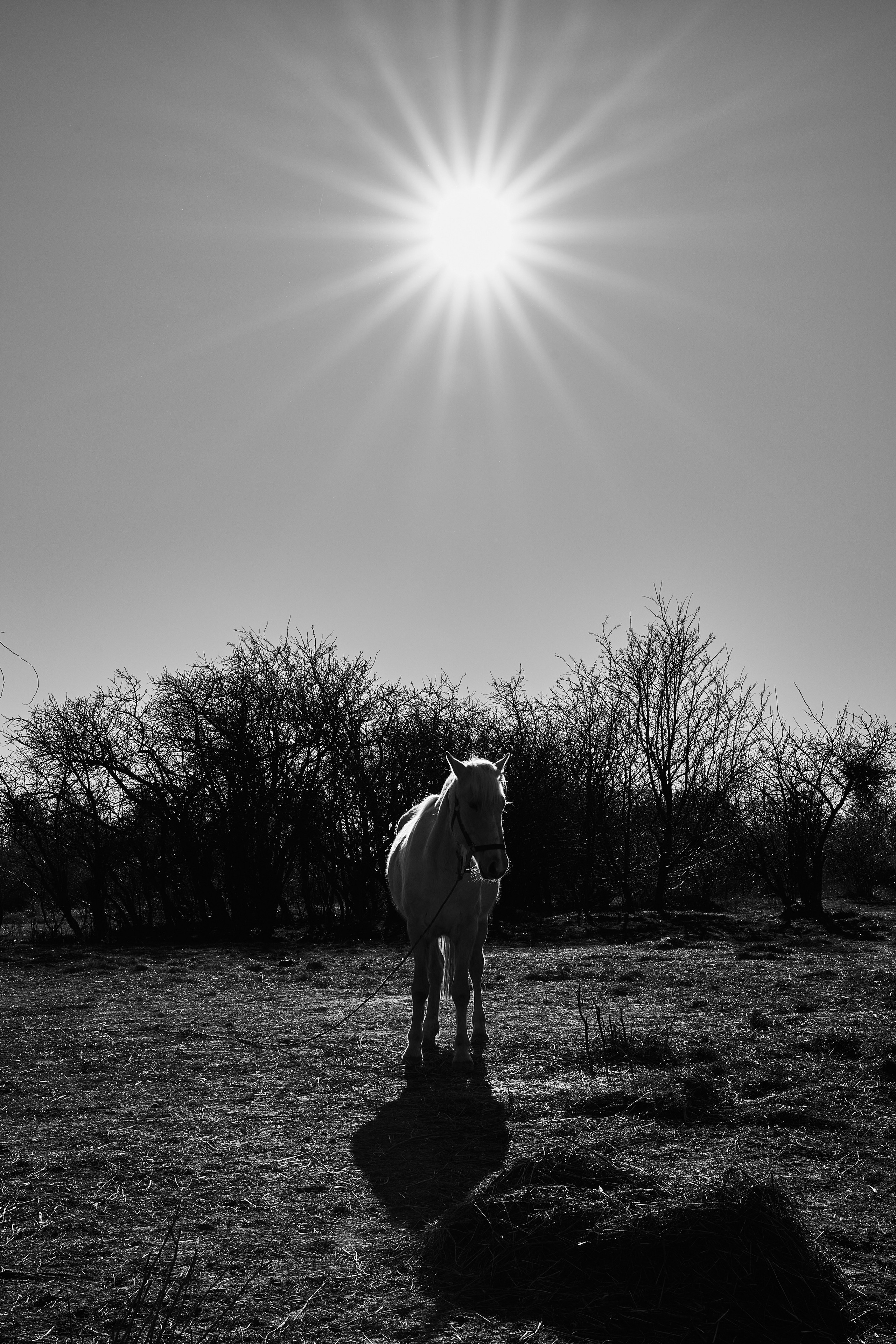 Балтийск. Фотограф в Москве Анастасия Баева