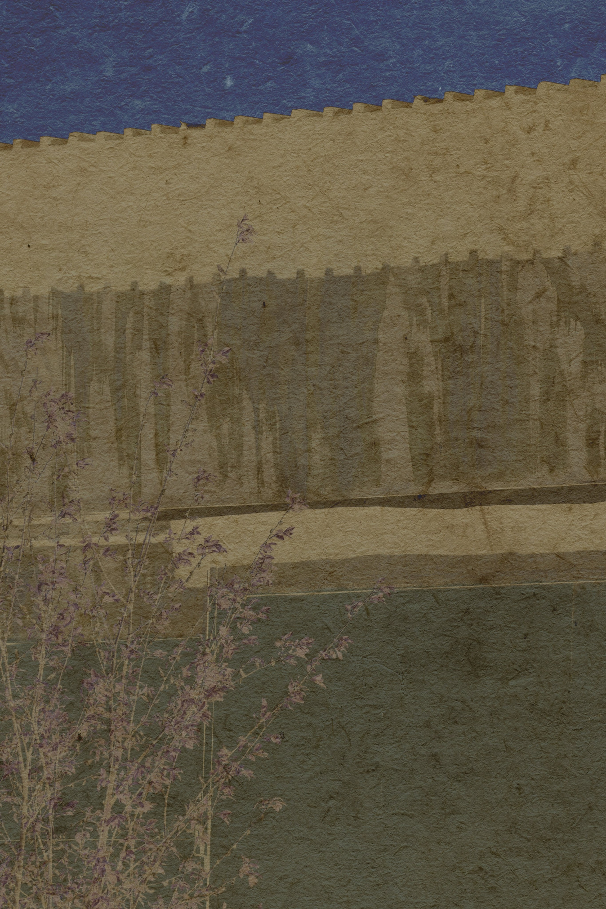 Lying on the grass. Anastasia Maryasova