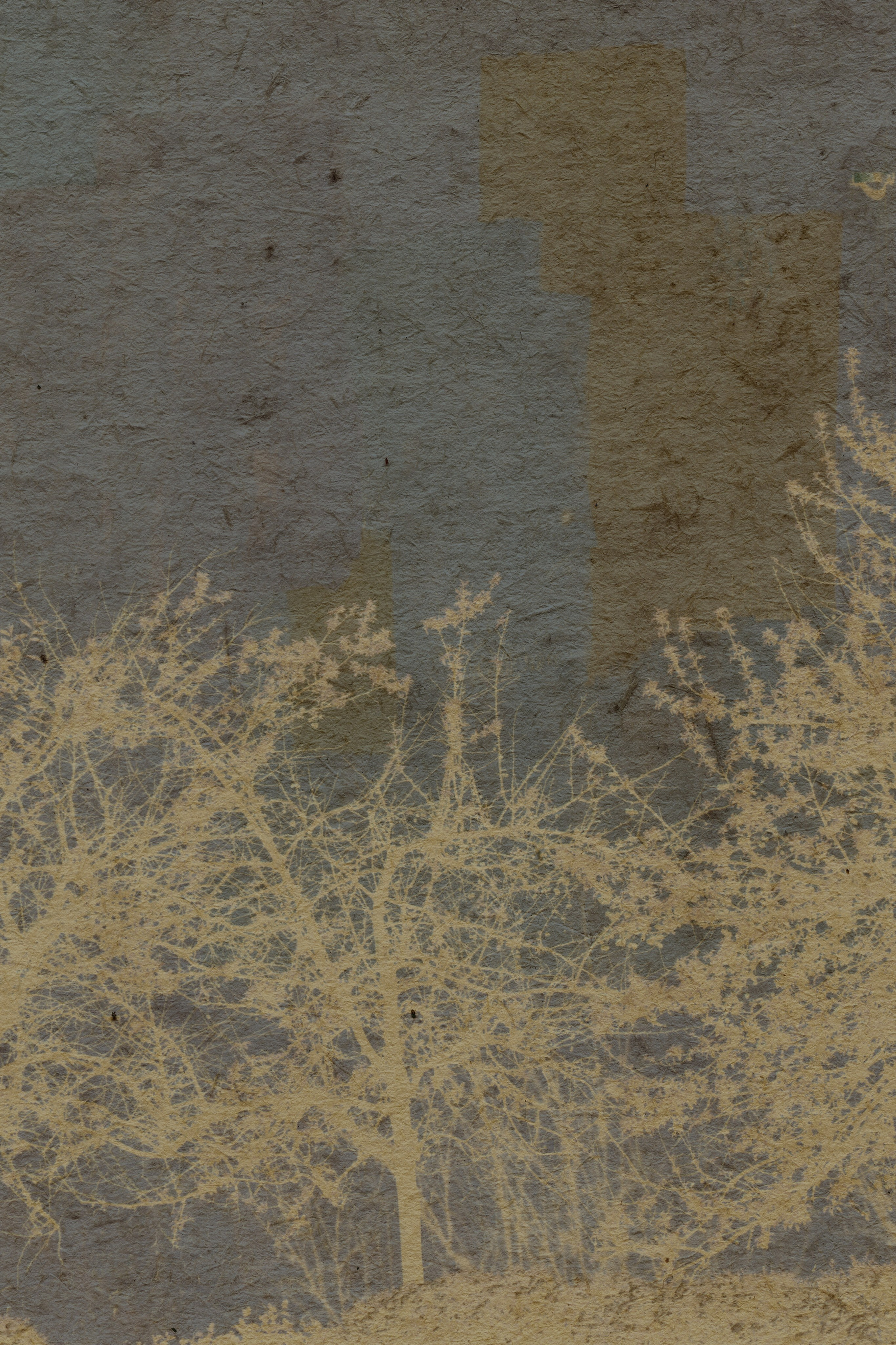 Lying on the grass. Anastasia Maryasova