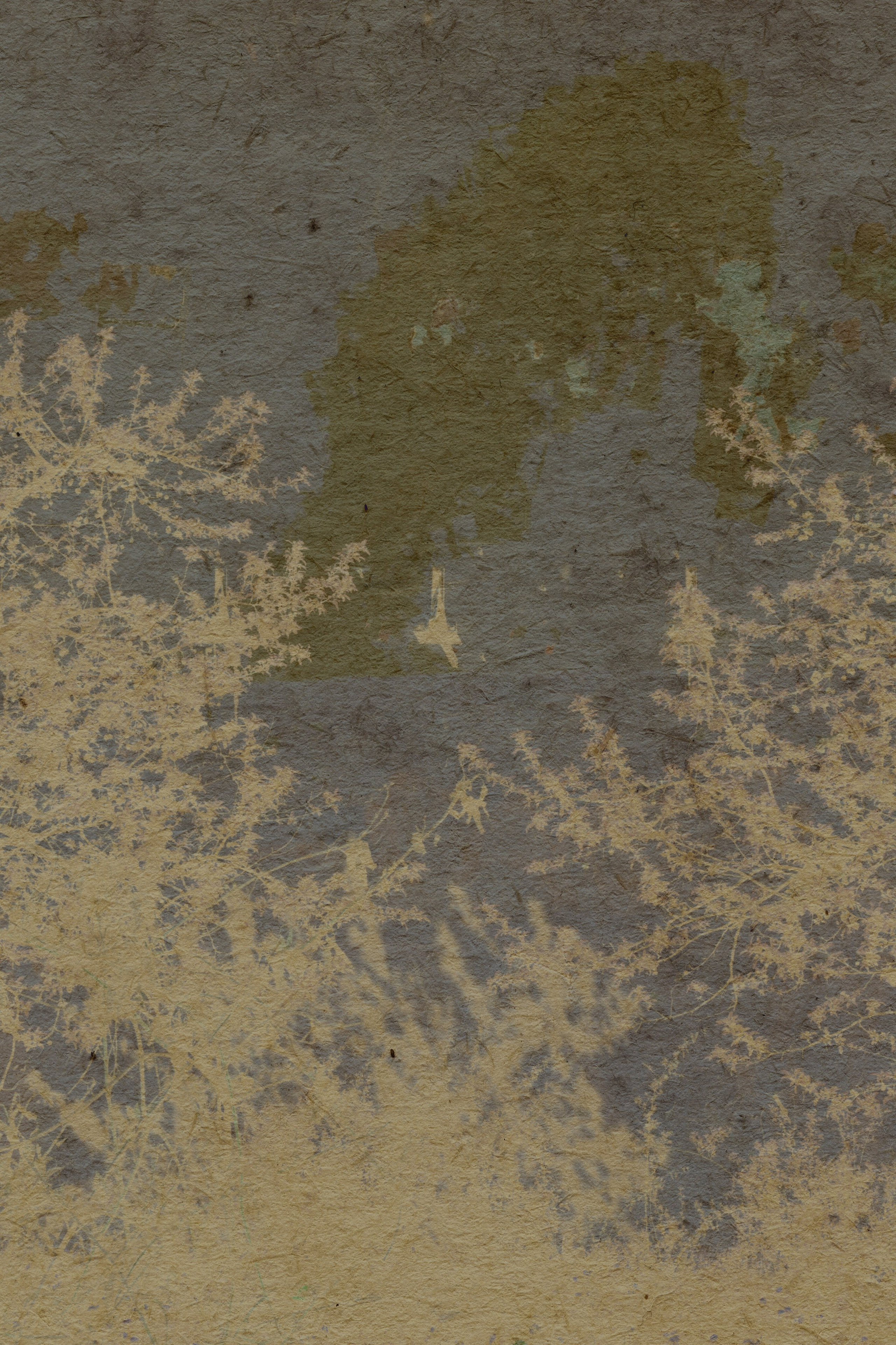 Lying on the grass. Anastasia Maryasova