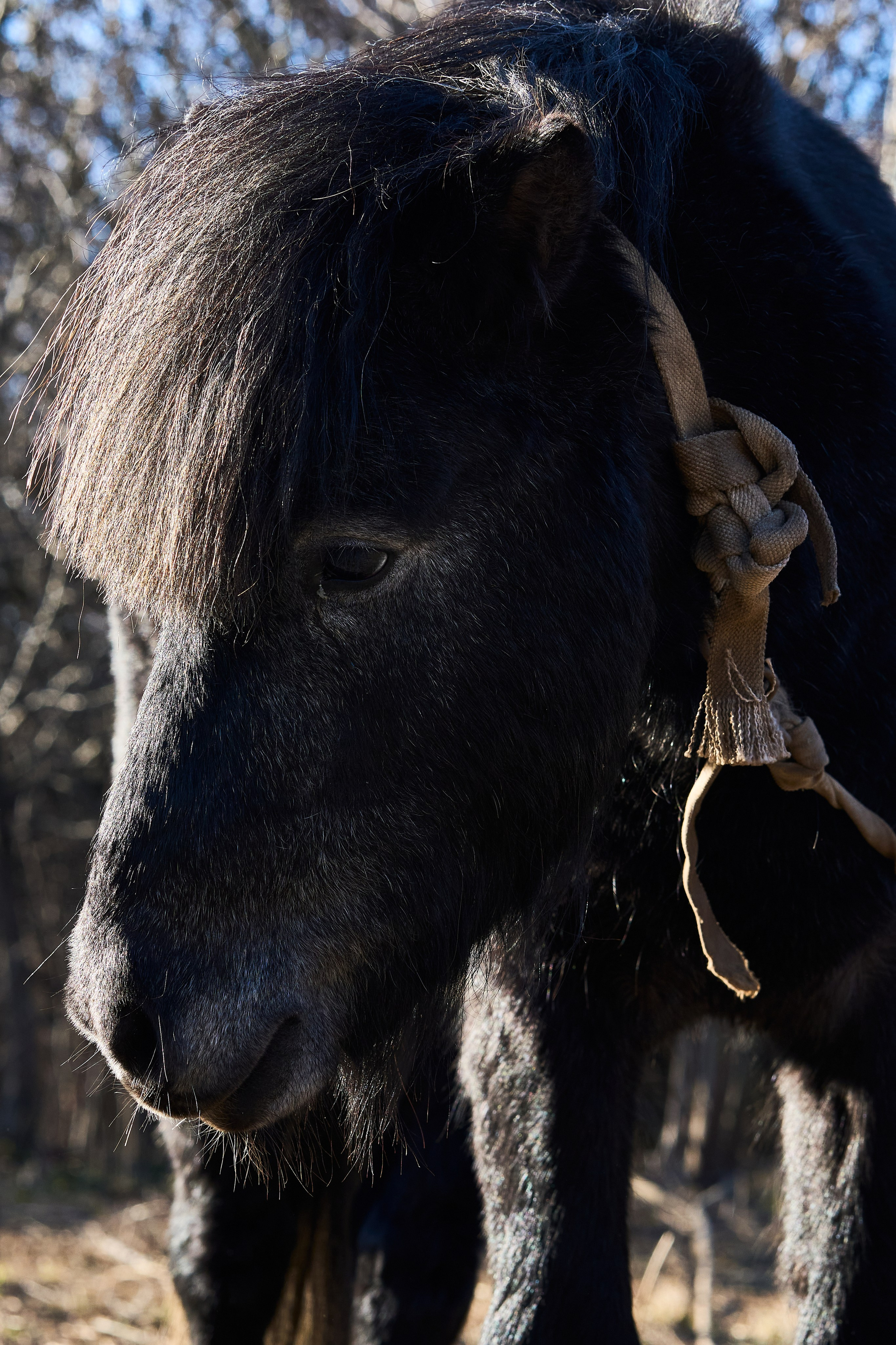 Балтийск. Фотограф в Москве Анастасия Баева
