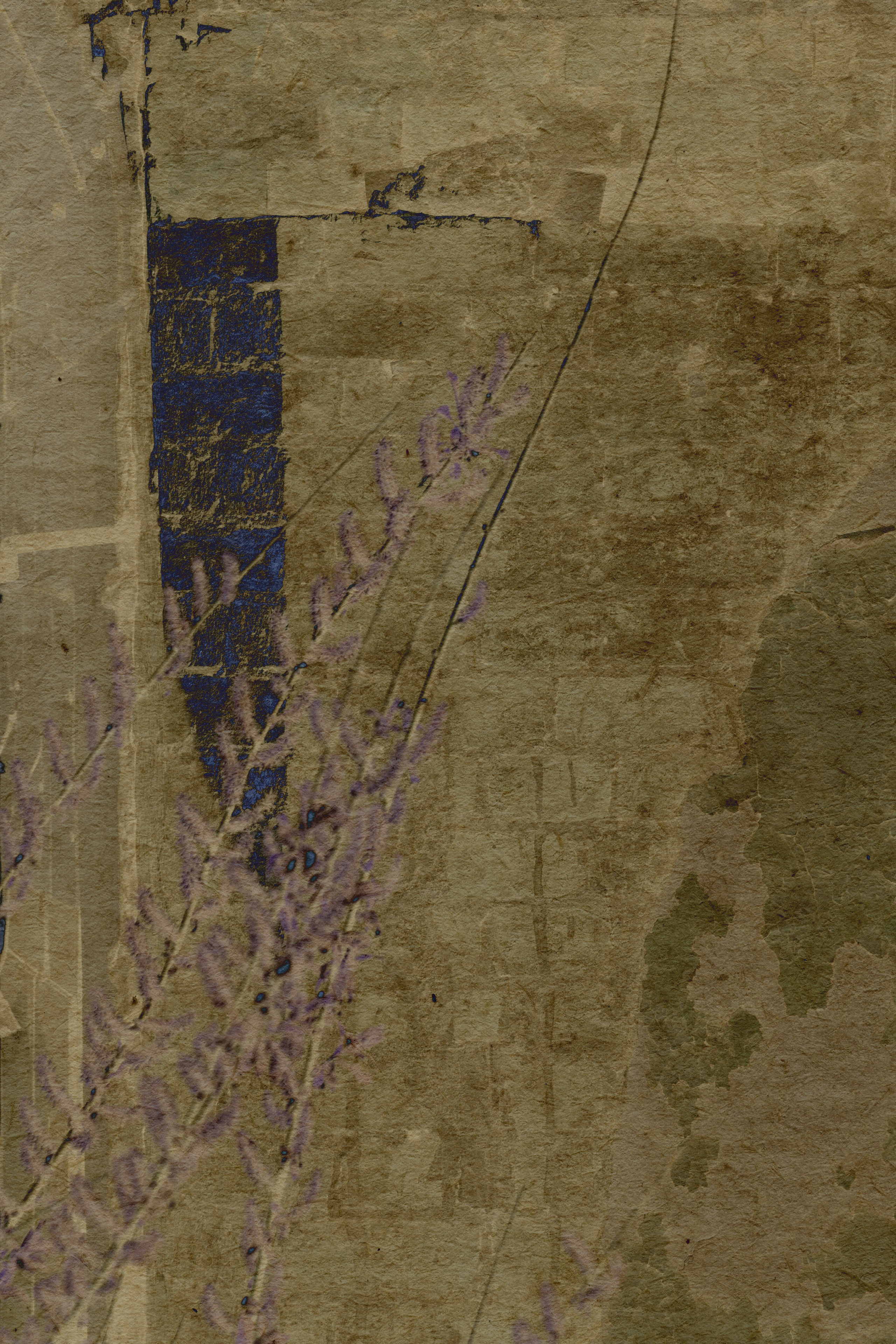 Lying on the grass. Anastasia Maryasova