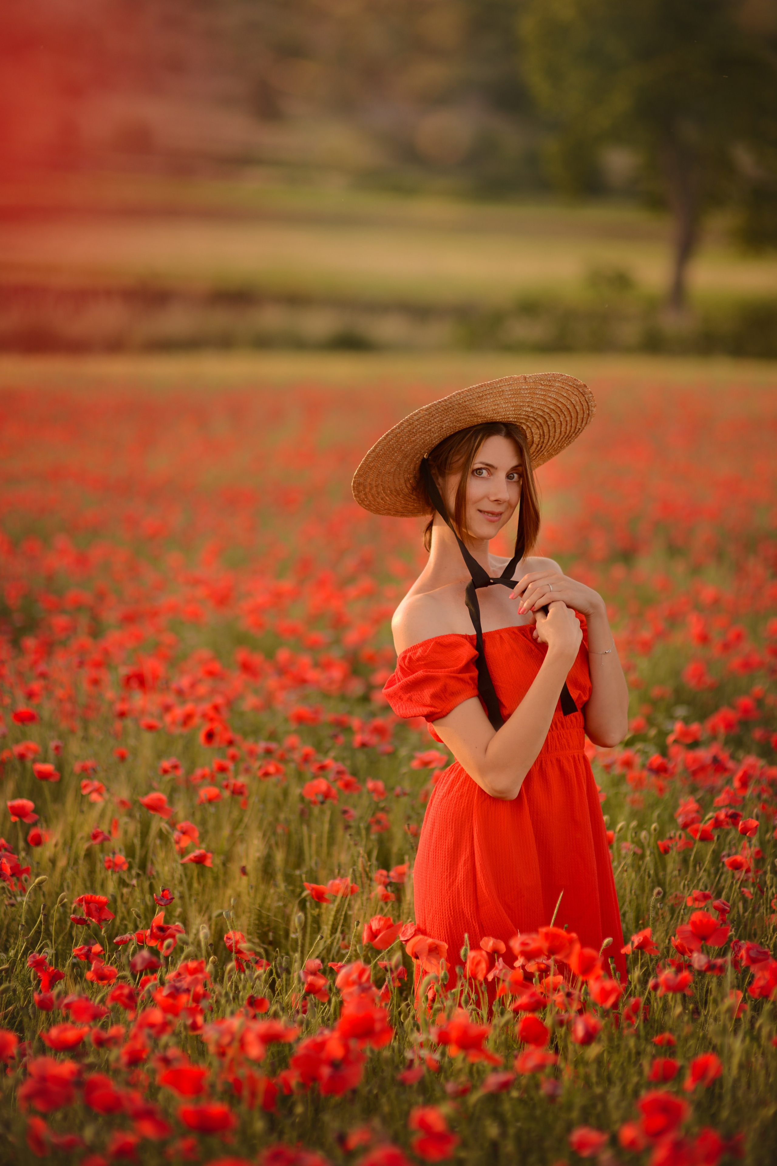 🌺 CHAMPS DE COQUELICOTS EN PROVENCE. Photographer in Provence Julia Lipiainen