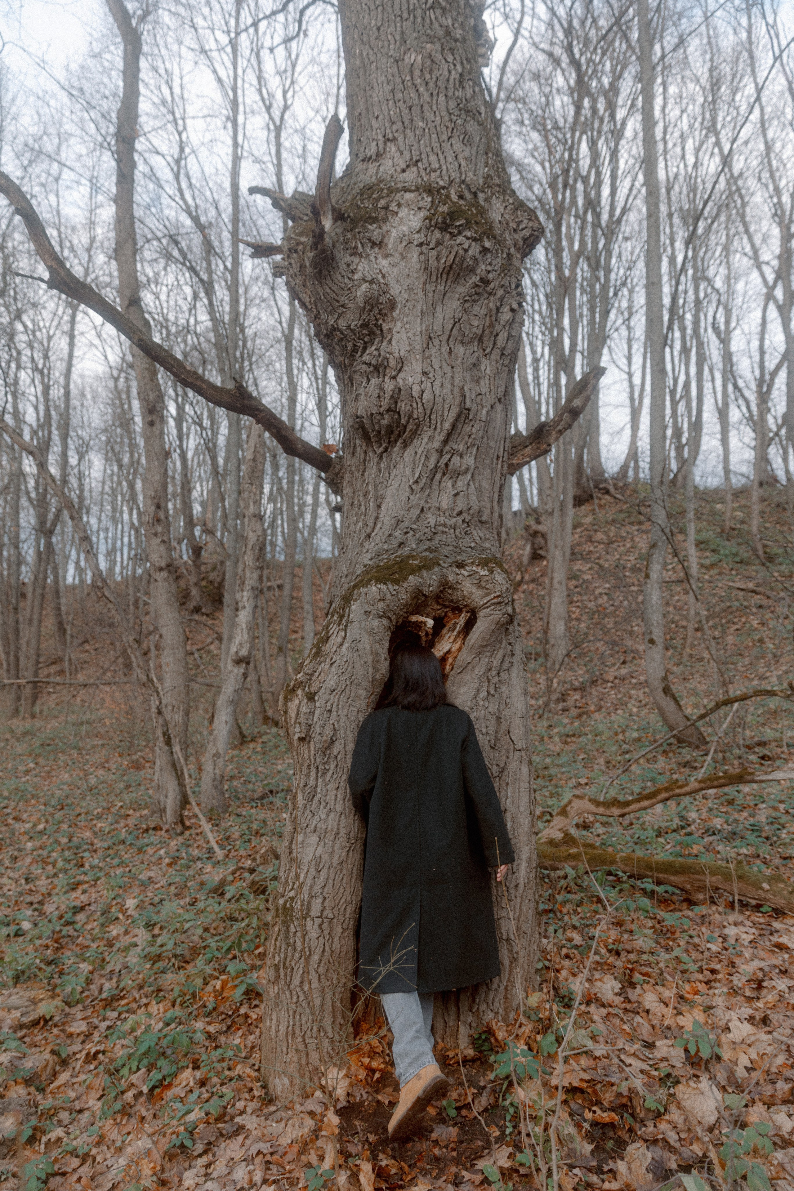 Solitude. Свадебный фотограф Колесников Антон