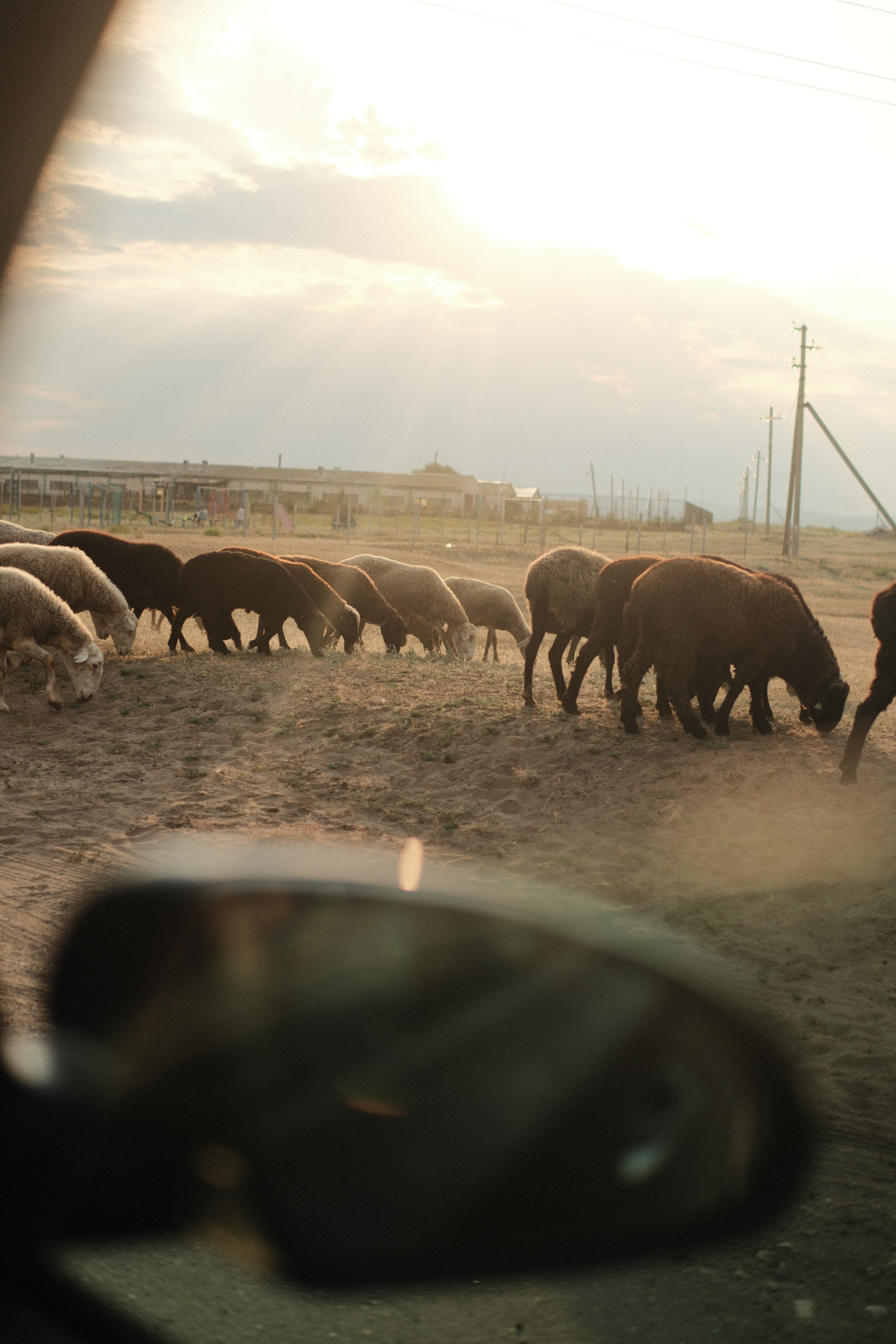 Внезапная фотосессия. Фотограф/Видеограф из Саратова