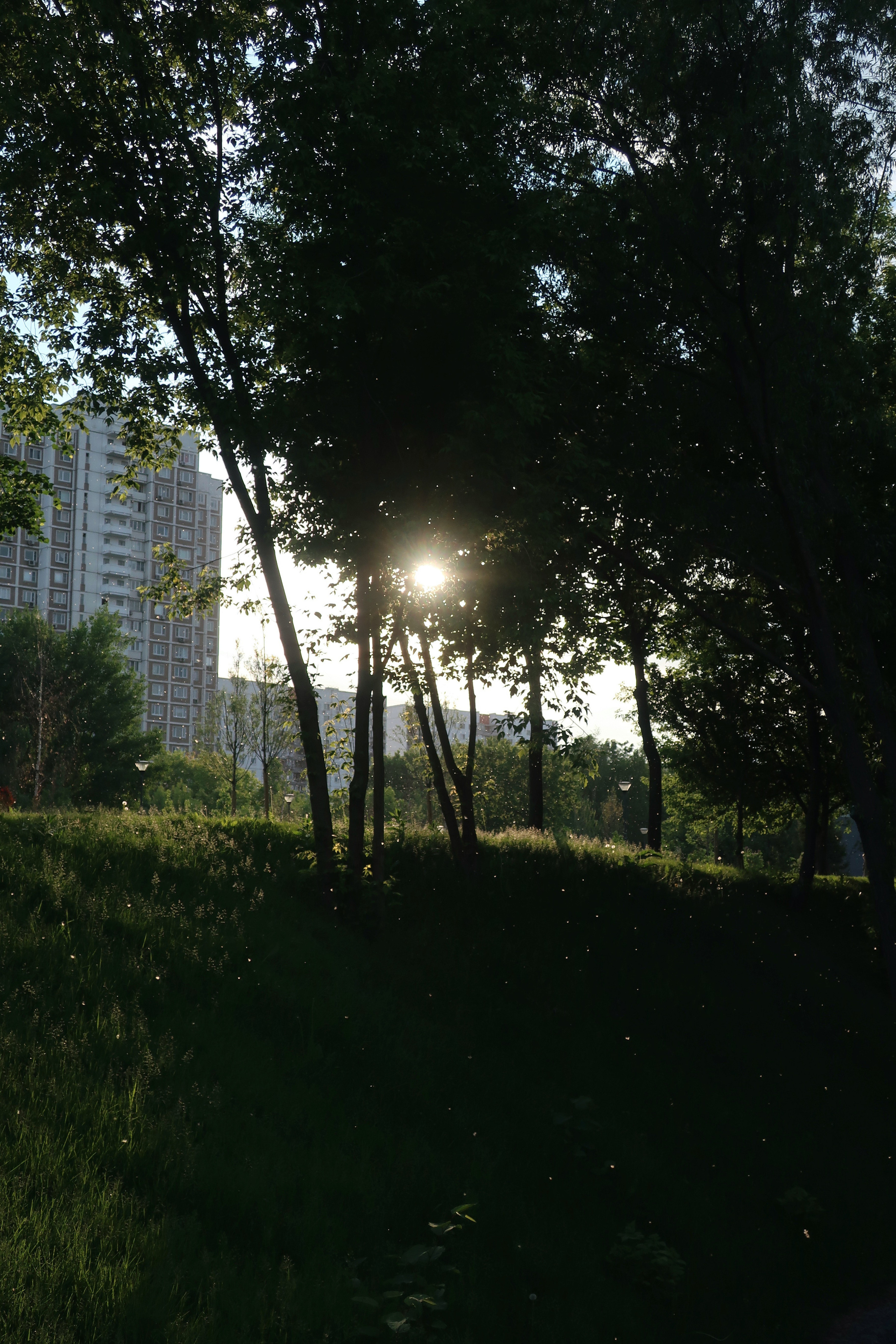 Парки Яуза, Свиблово и Свибловские пруды. Проект «Фотокладовка»: блог уличной фотографии в формате street photo