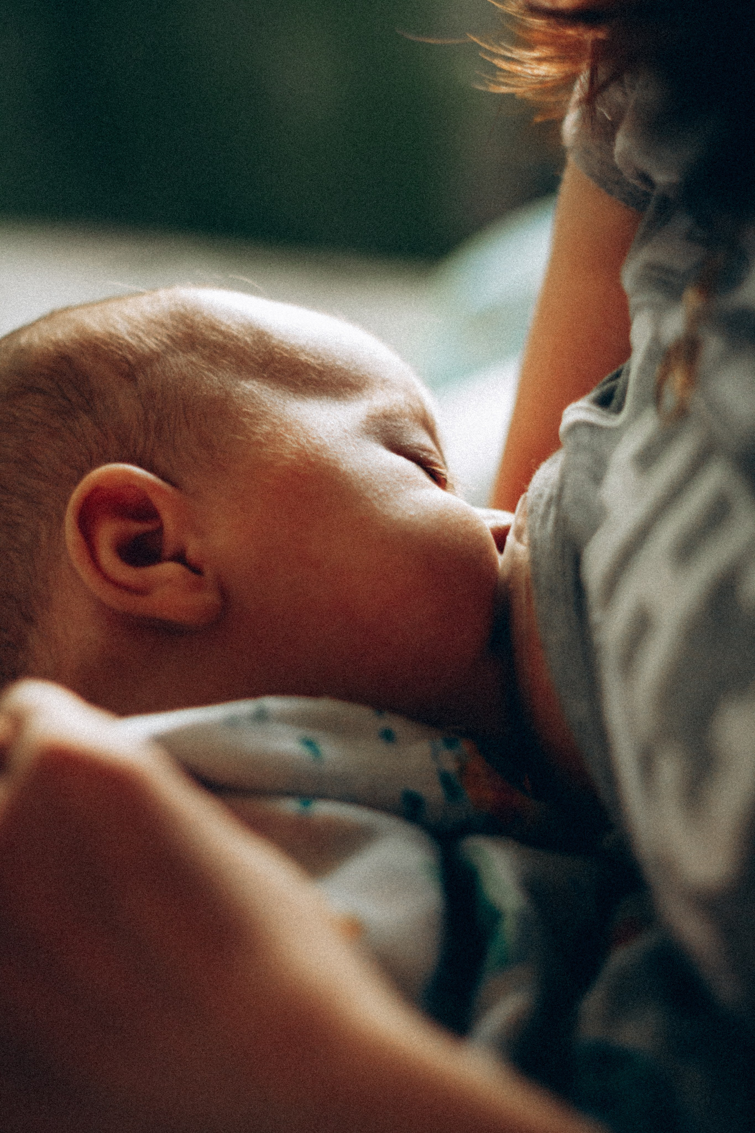 Услуги. Главная