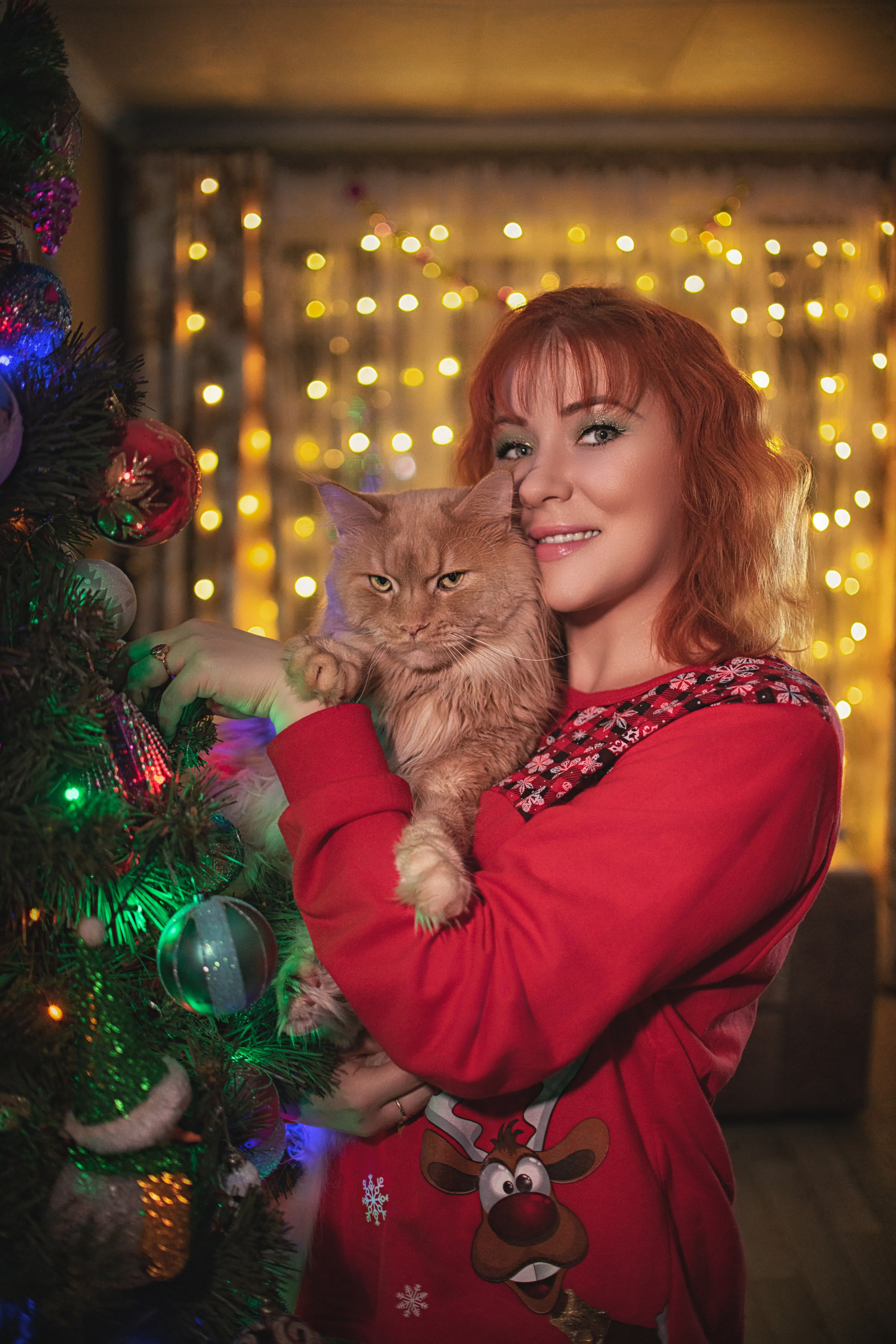 Кошки и праздники: как подготовить питомца к новогодней суете. Safronov Ivan — a portrait photographer in Moscow
