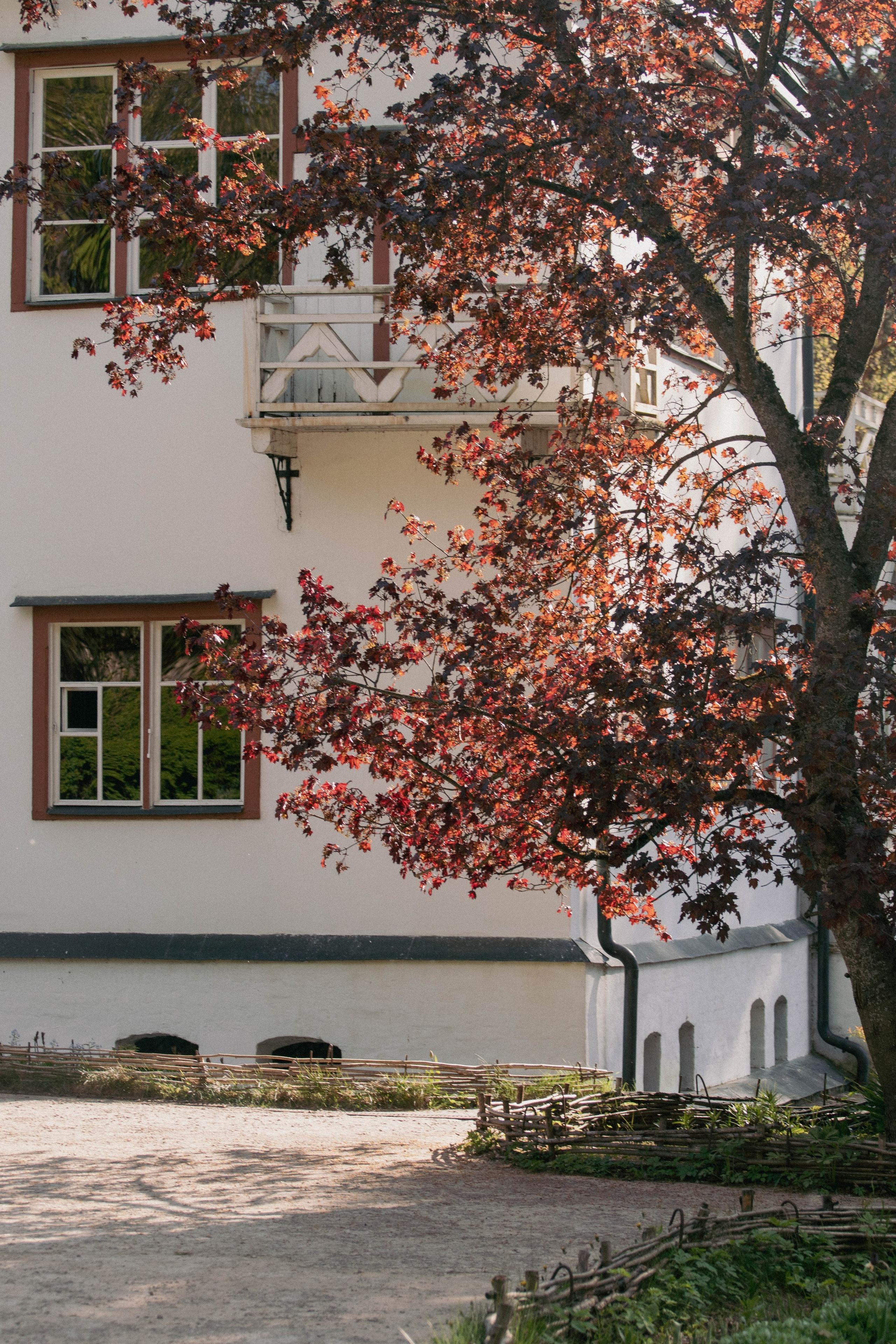 Музей-заповедник В. Д. Поленова. Концертный фотограф