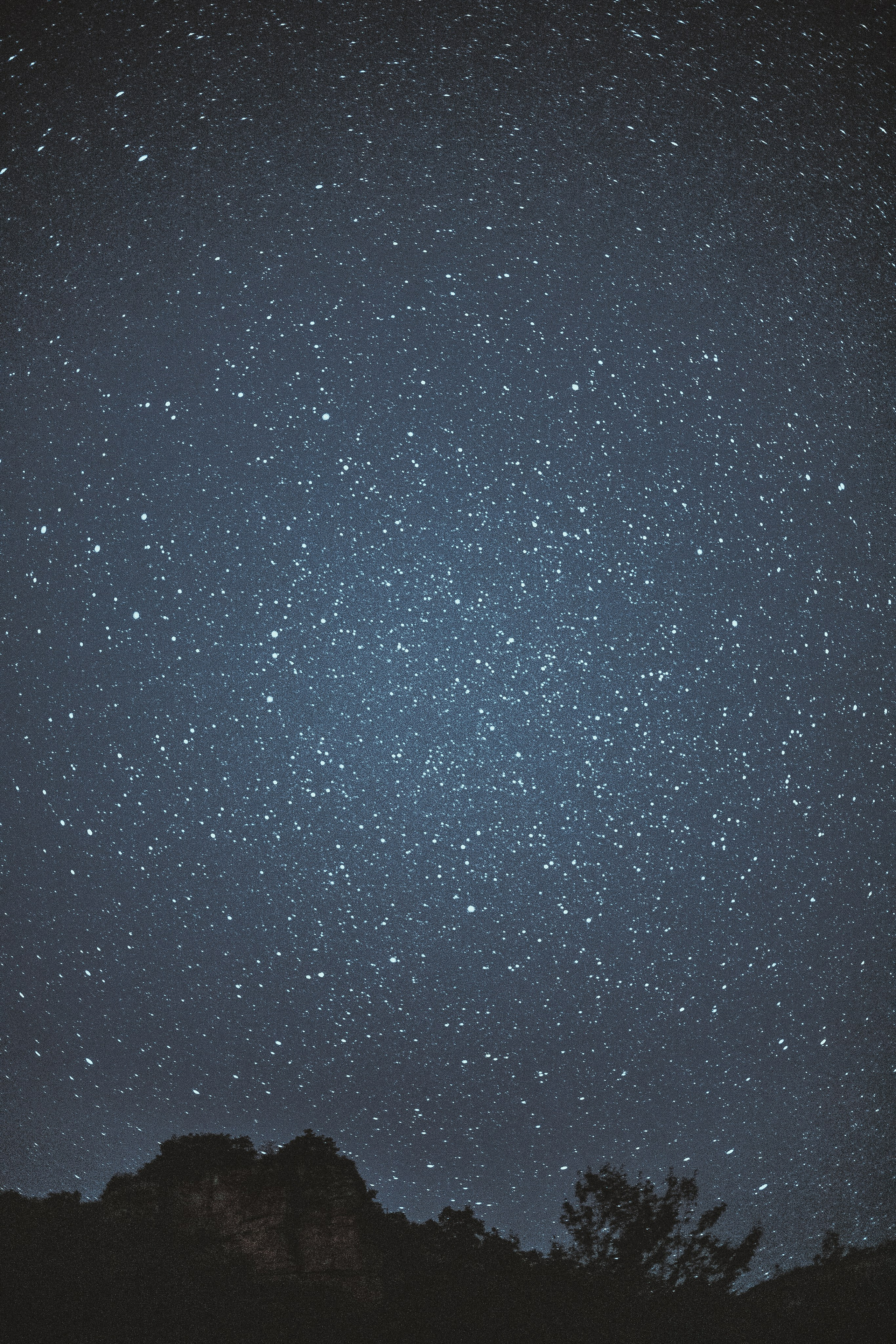 Кавказ, лето 2019 года. Ваня Ежик — фотограф