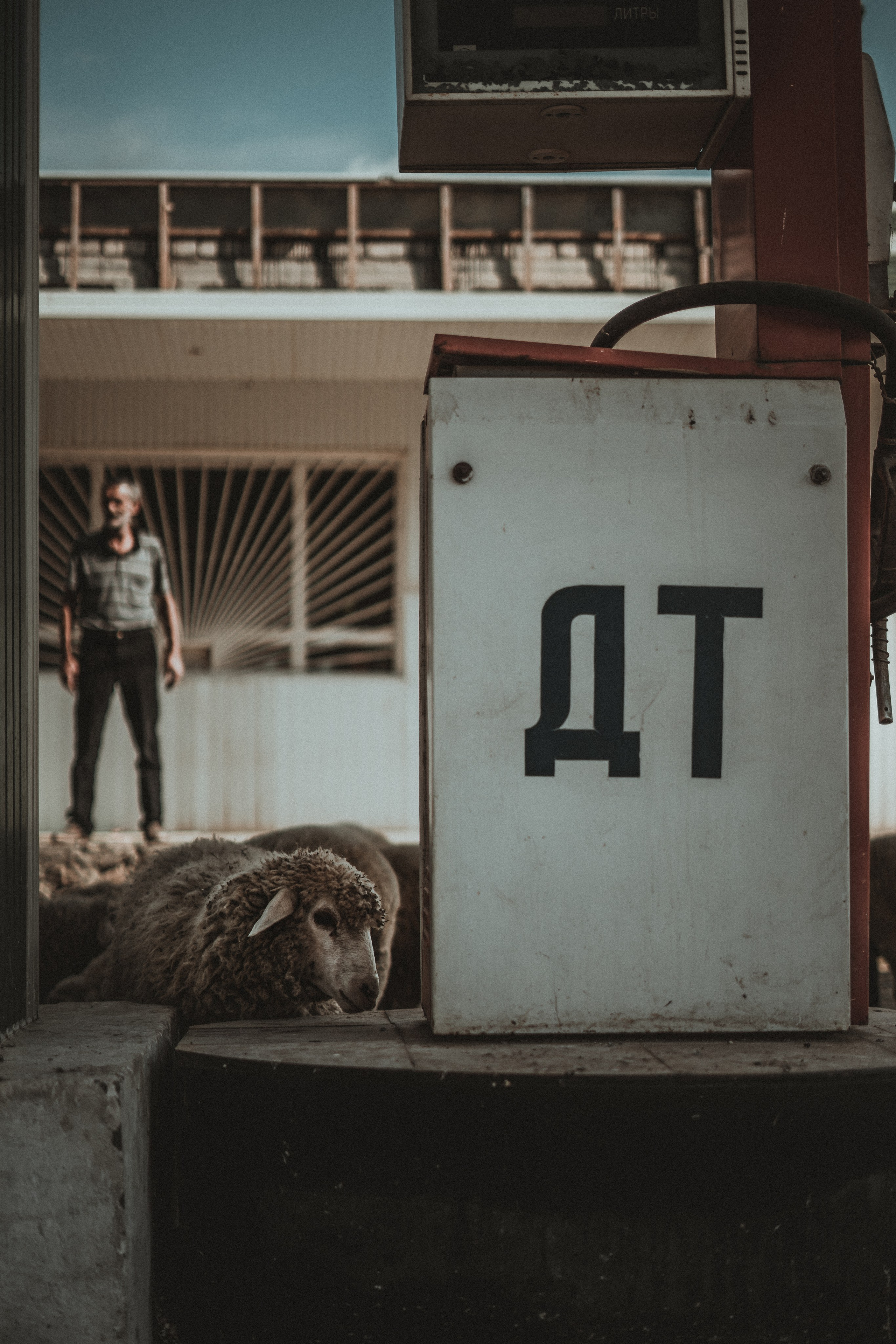 Кавказ, лето 2019 года. Ваня Ежик — фотограф