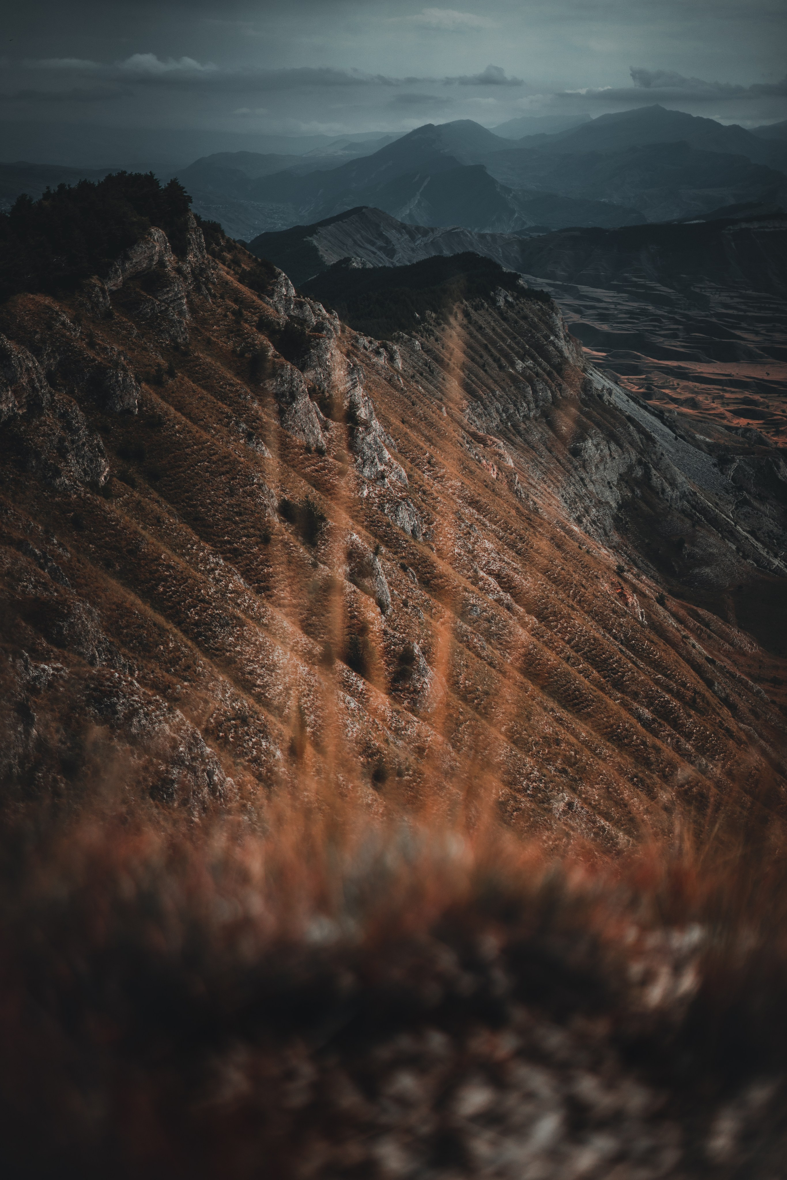 Кавказ, лето 2019 года. Ваня Ежик — фотограф