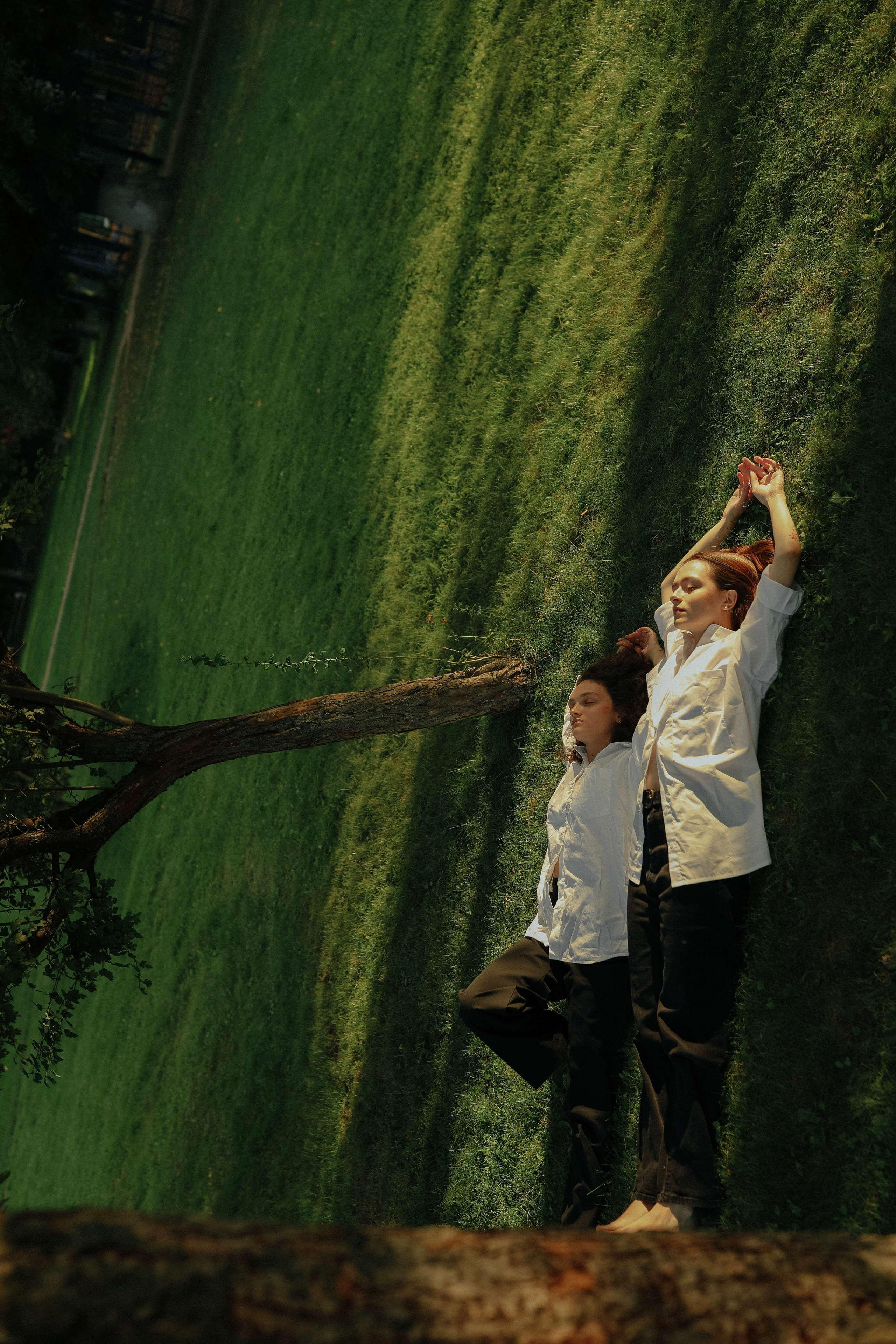 -фотография-история-жизнь-