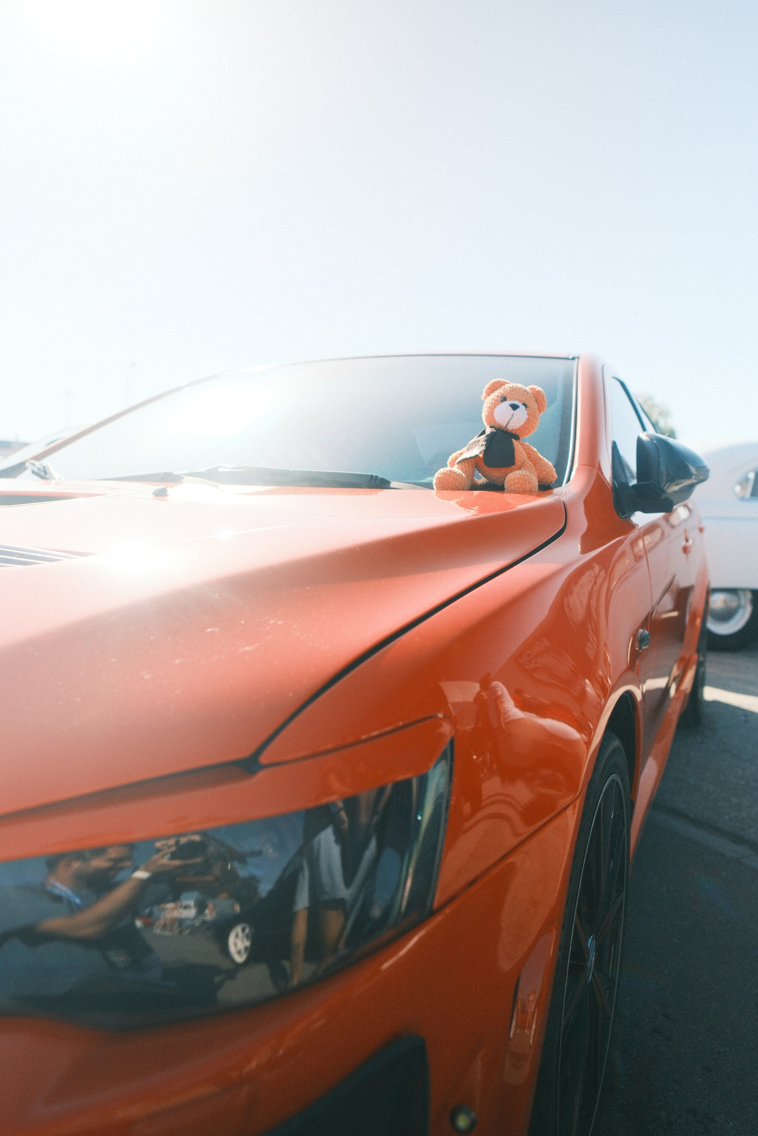 Стерлядь avtofest. Фотограф/Видеограф из Саратова