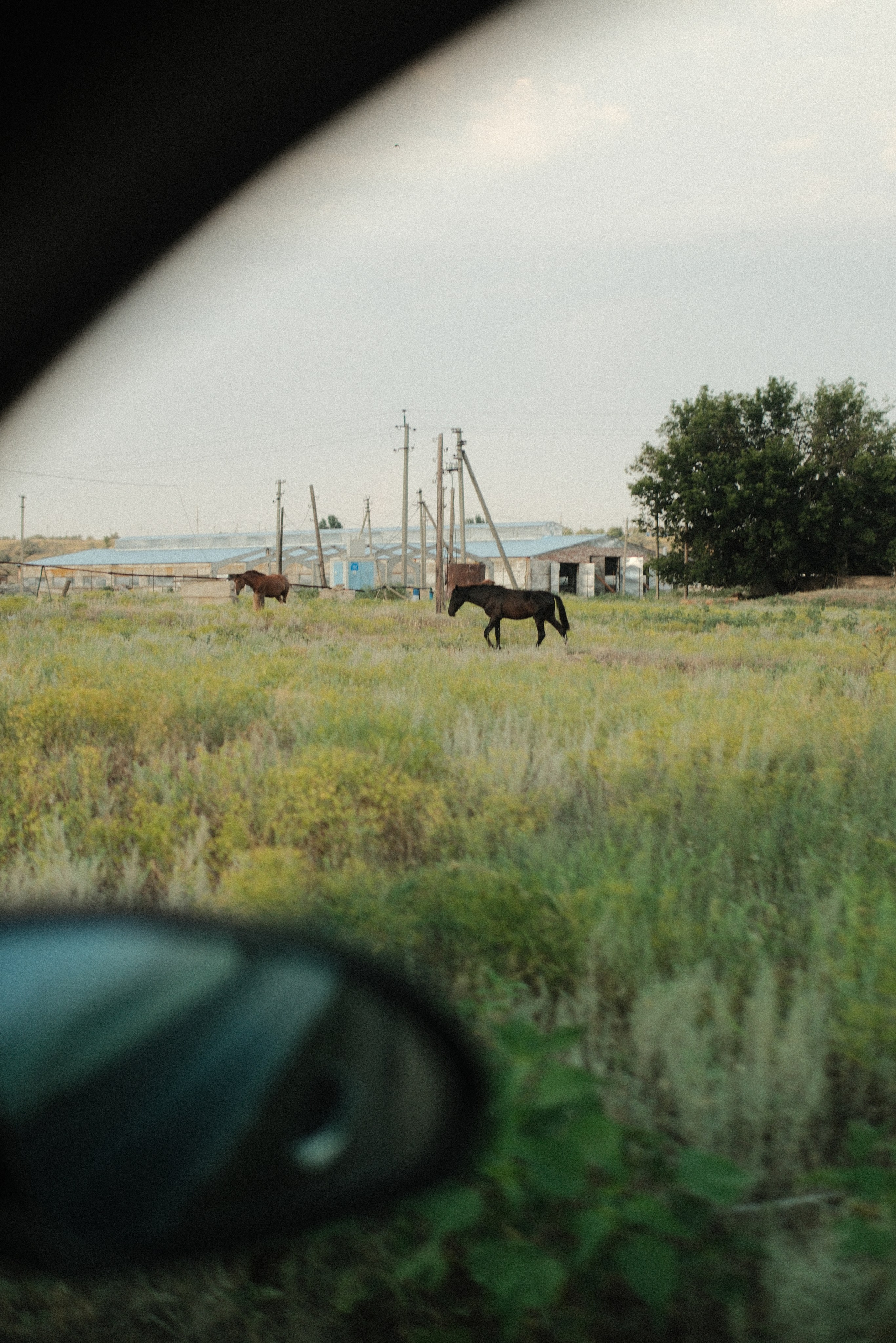 Внезапная фотосессия. Фотограф/Видеограф из Саратова