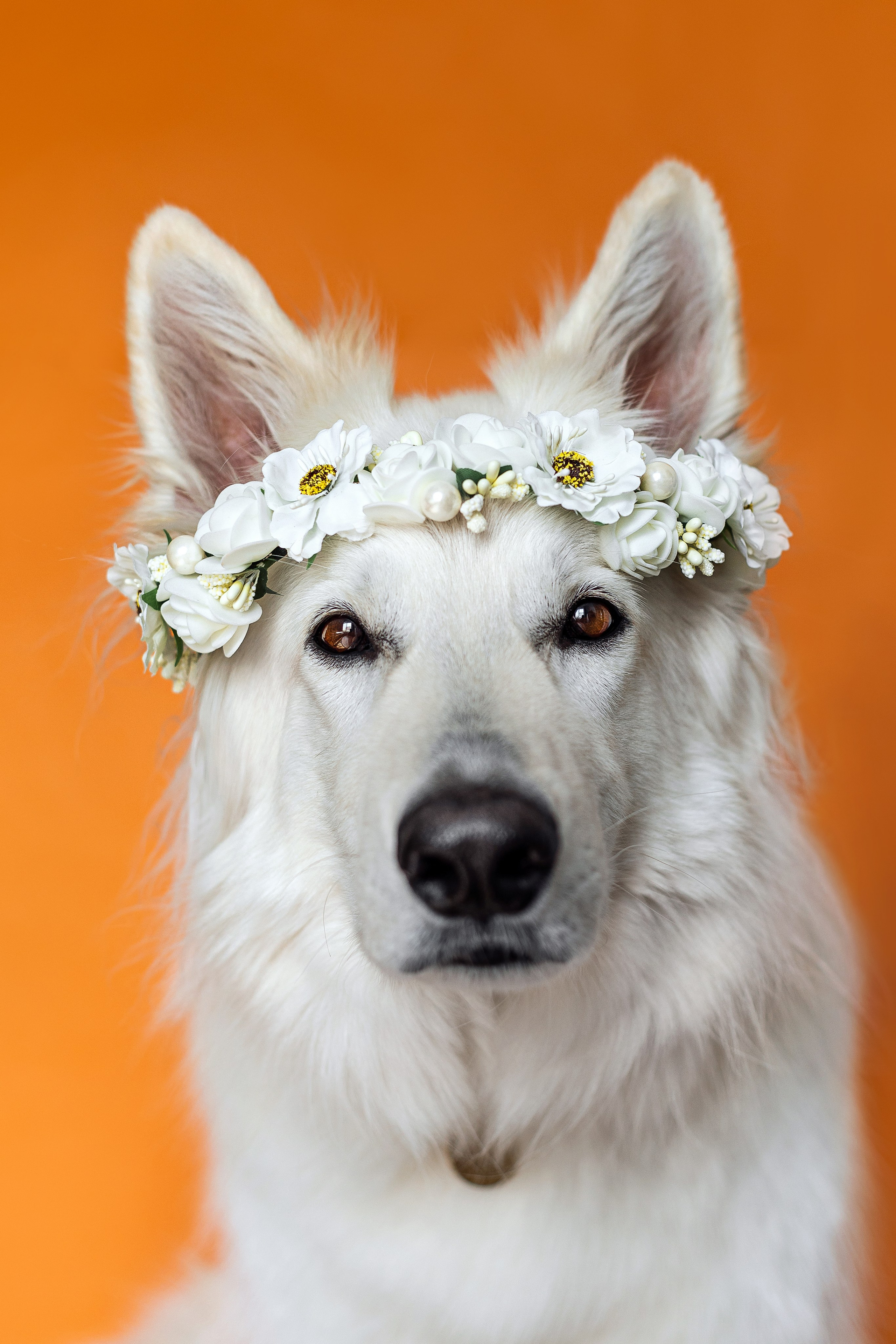 Импульсный или постоянный?