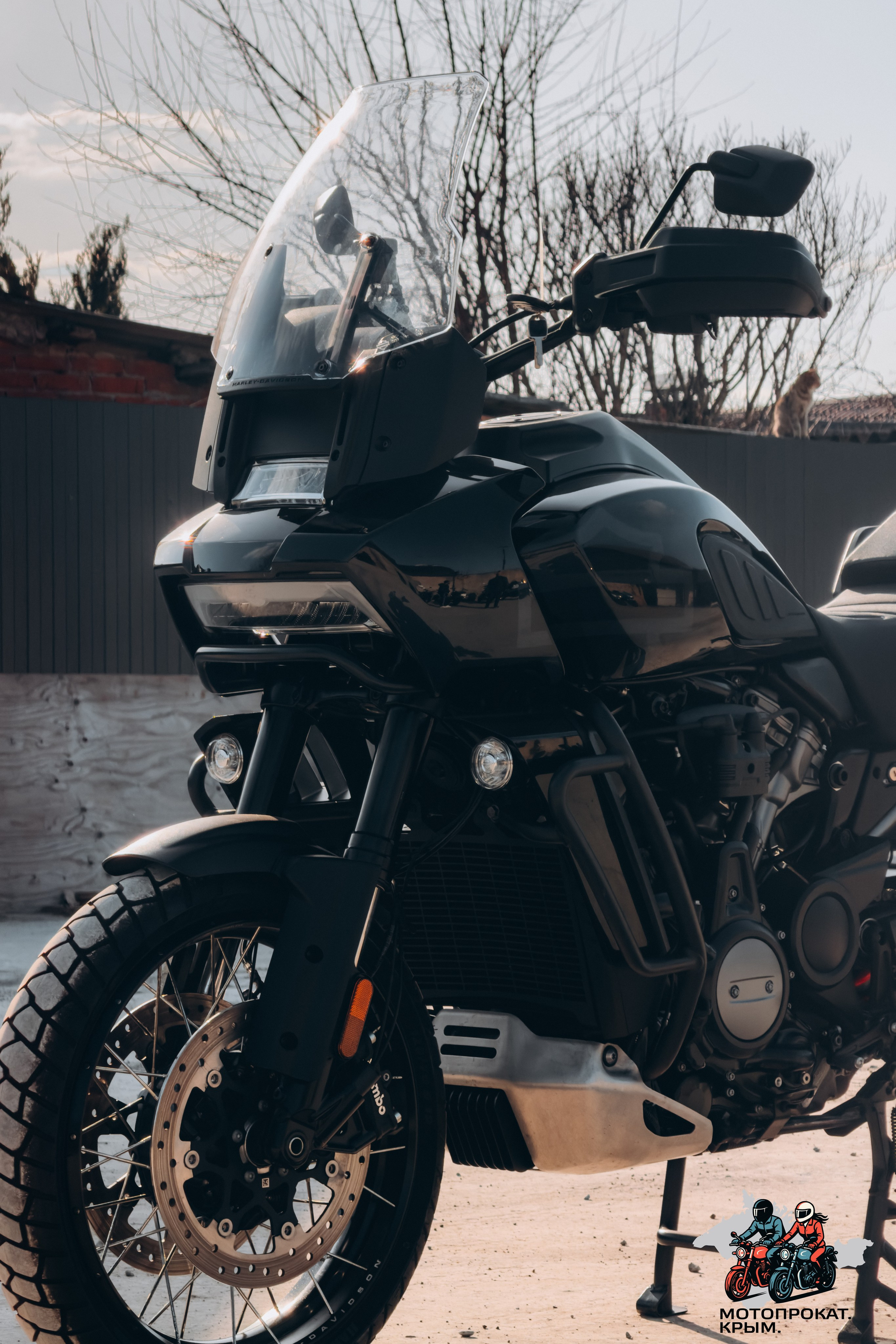 Harley-Davidson Pan America. Мотопрокат Крым, Симферополь — Исследуй самые живописные дороги полуострова на отличном мотоцикле!