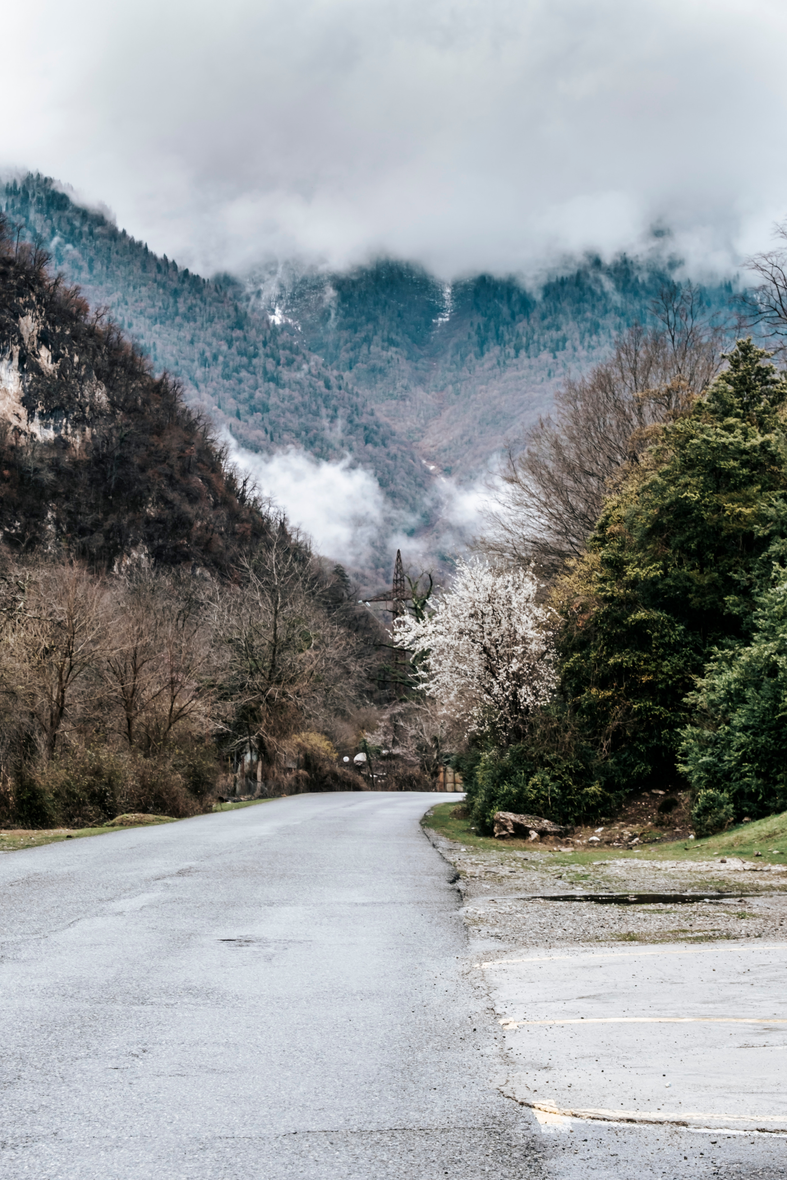 Абхазия (март 2021)