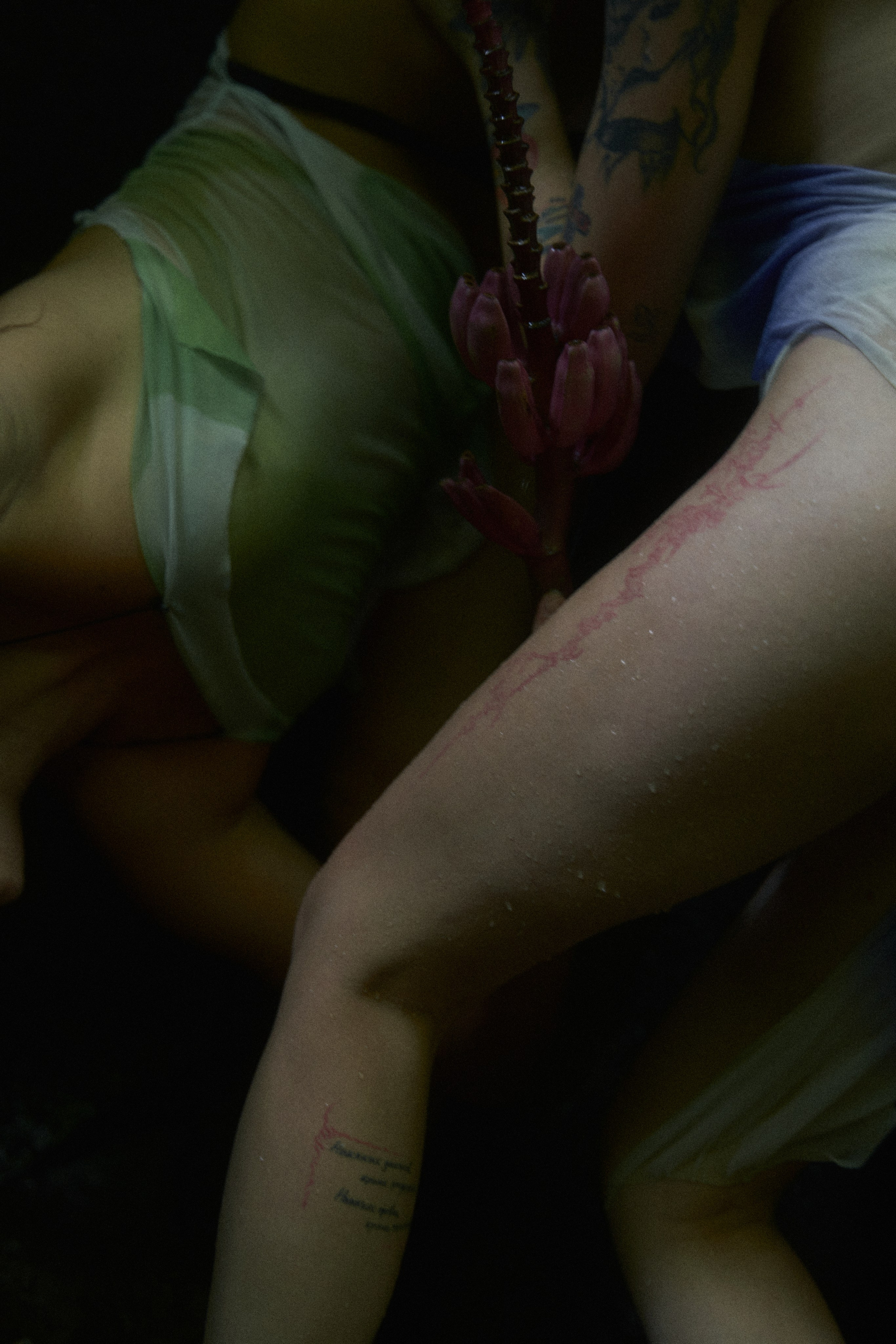 Oasis. Главная