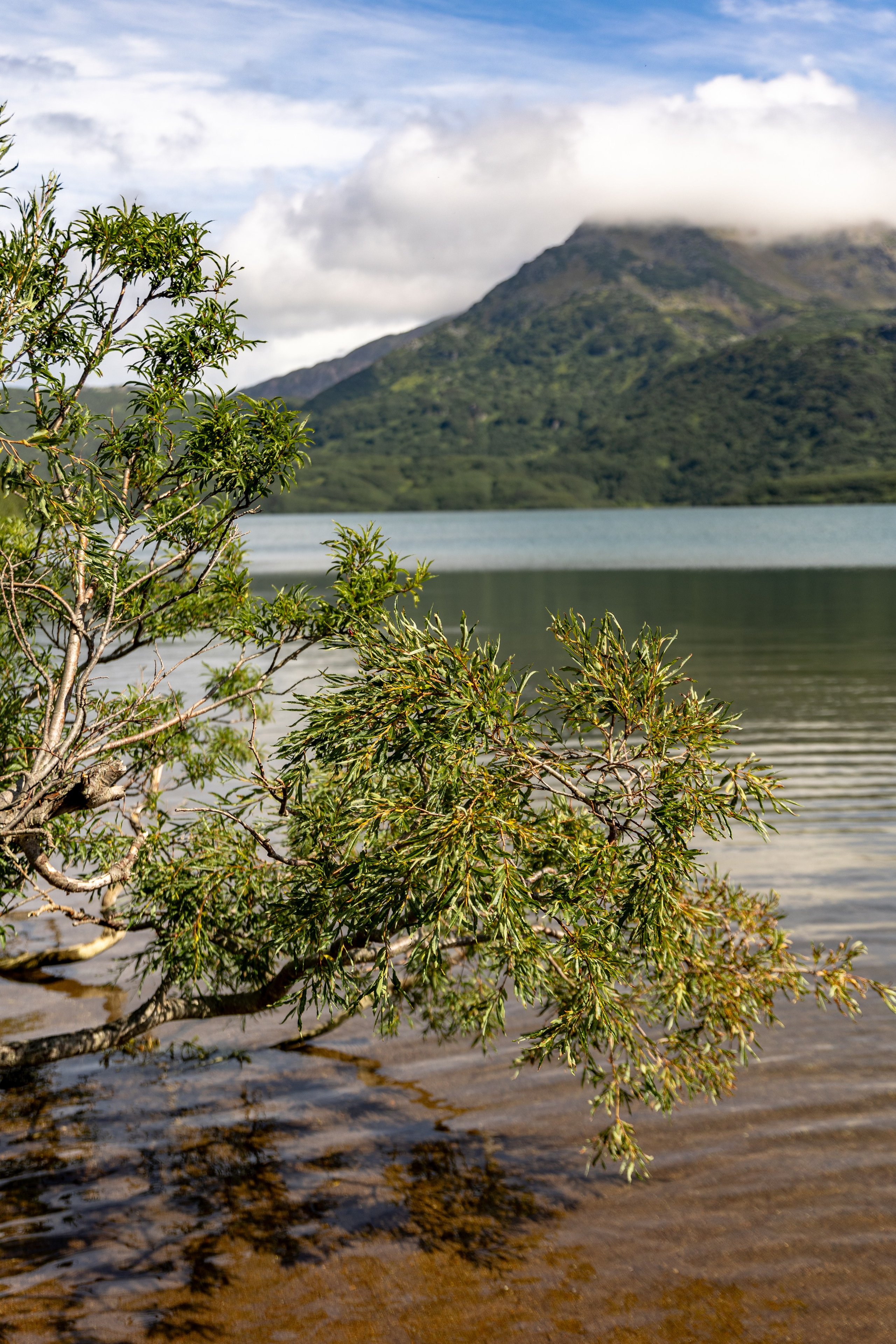 Vitaminnoye Lake and the Wild Greben Volcano. Professional photographer Alexey Nikitin in Moscow