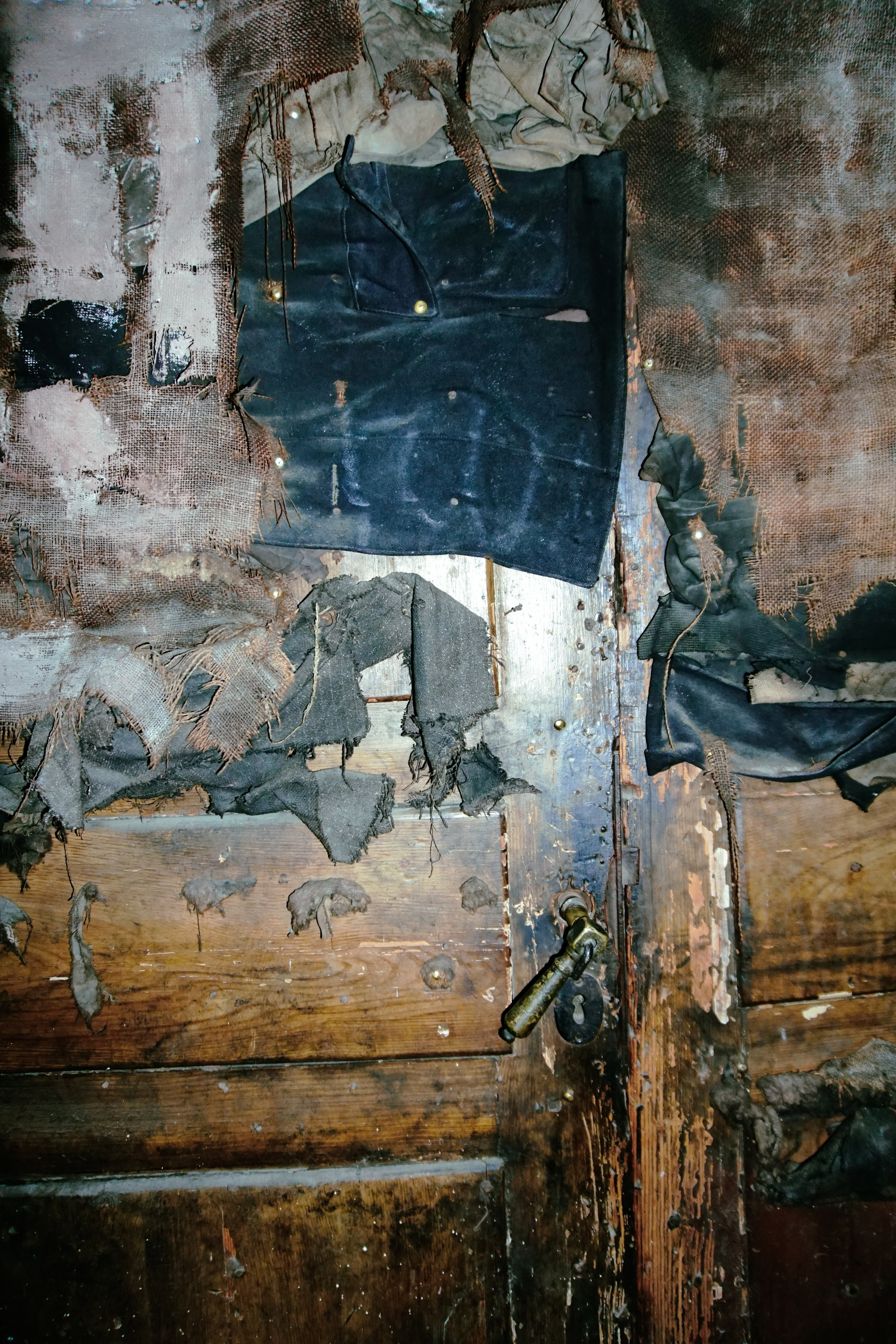 Аня Хомутова «Коммунальный рай». Самоорганизация Низина