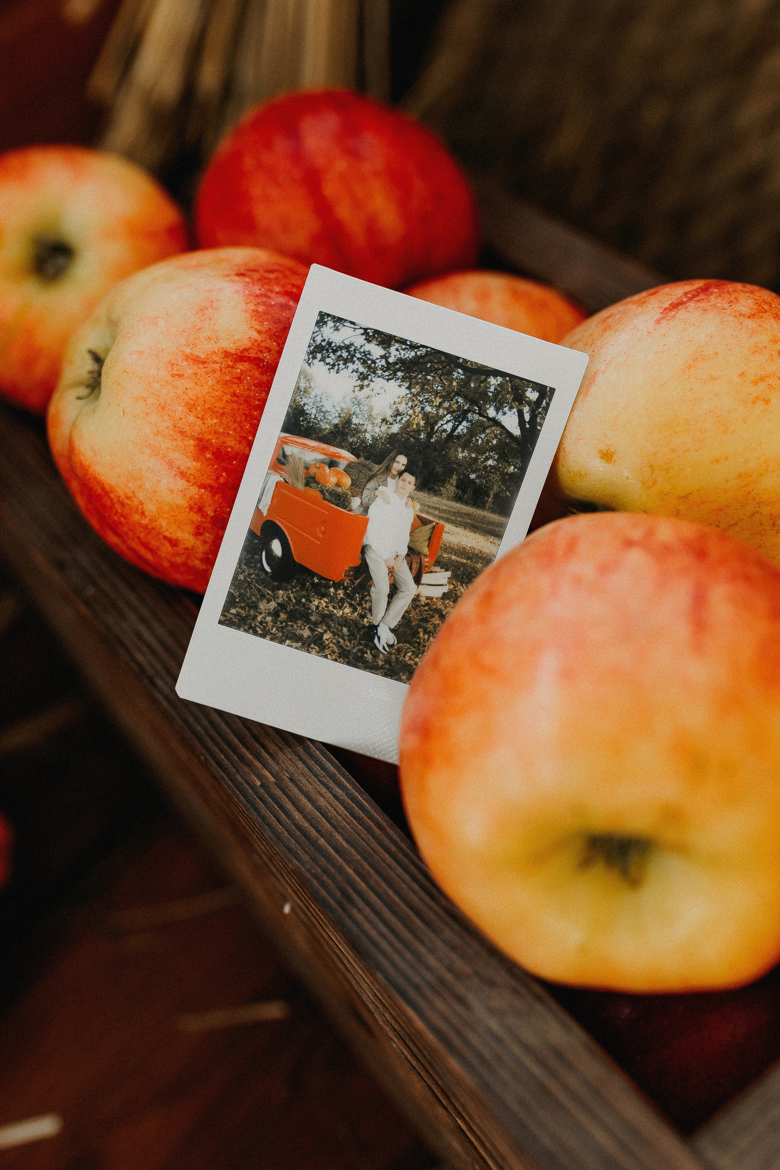 Осень. О любви. о чувствах. о вас. Аня Суббота