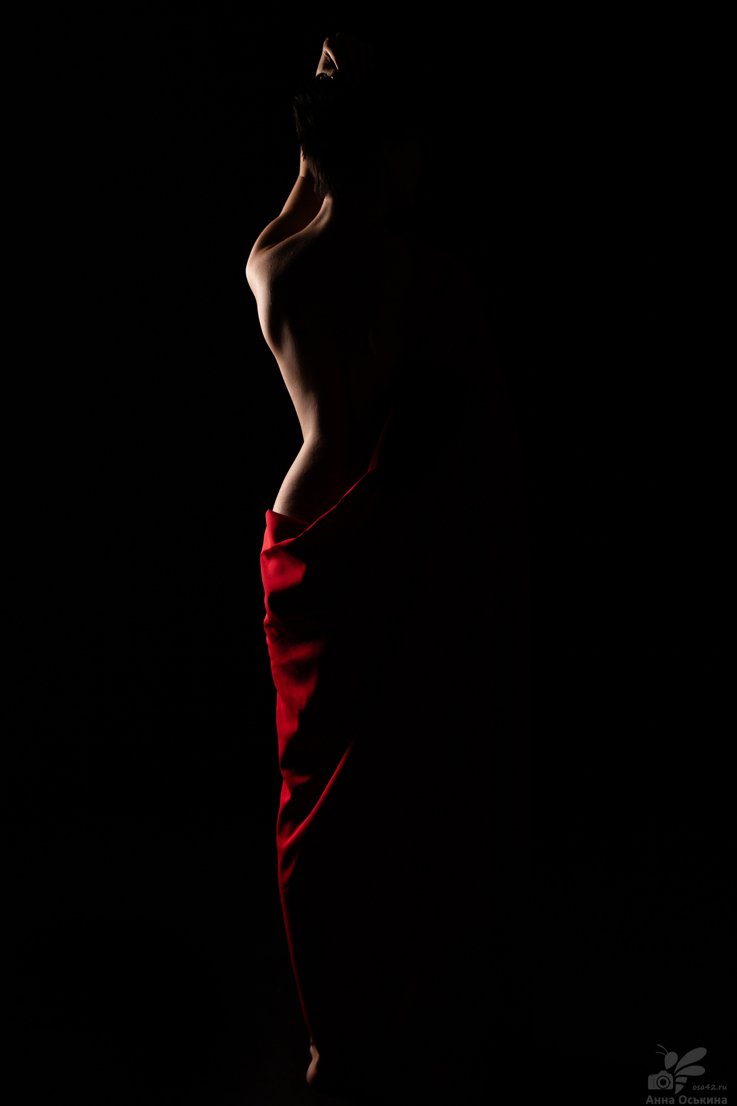 Арт-Ню. Фотограф в Кемерово Анна Оськина