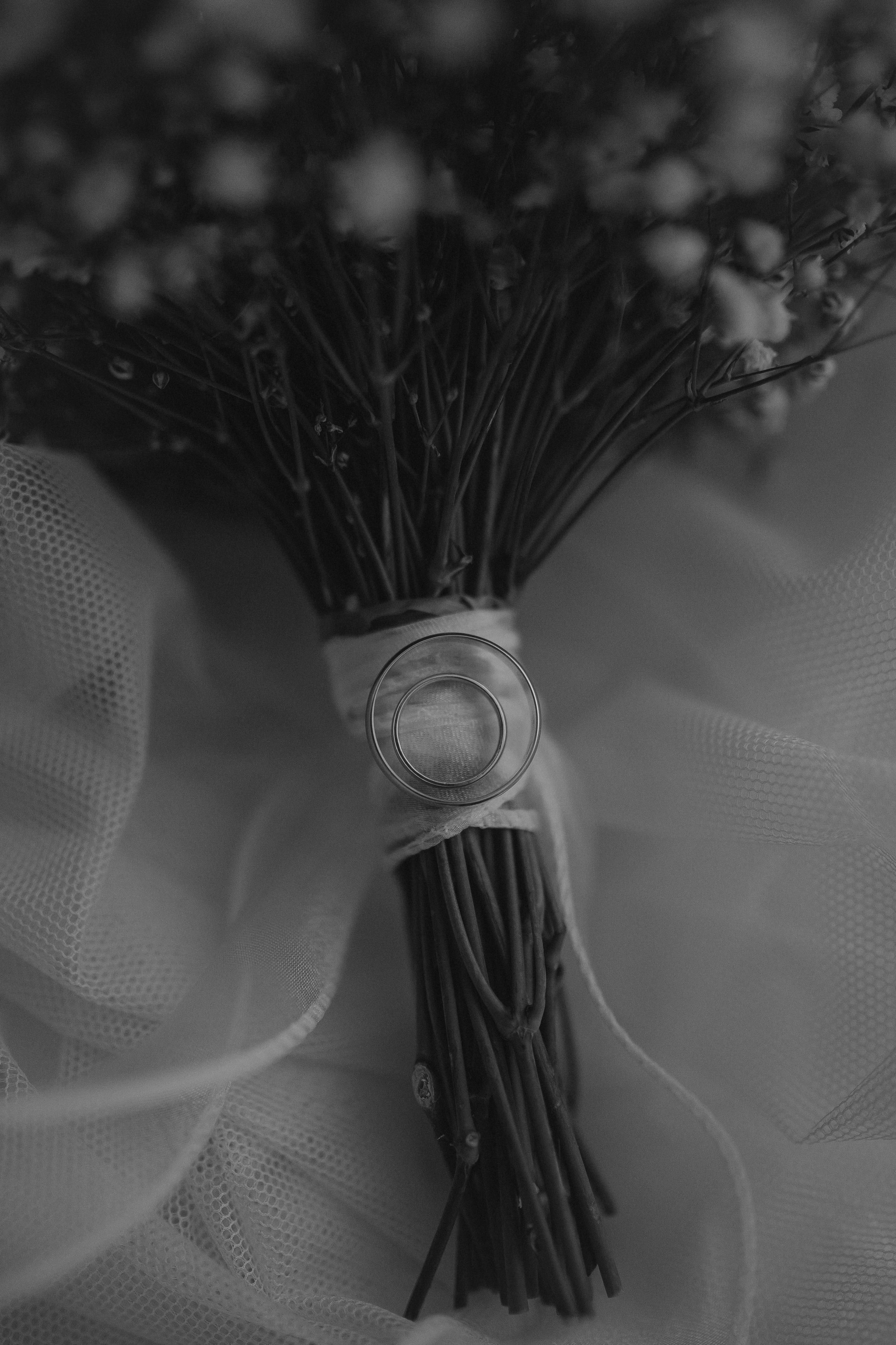 Предложения и цены фотографа Лилии Комар. Свадебный /Семейный фотограф в Краснодарском крае Лилия Комар