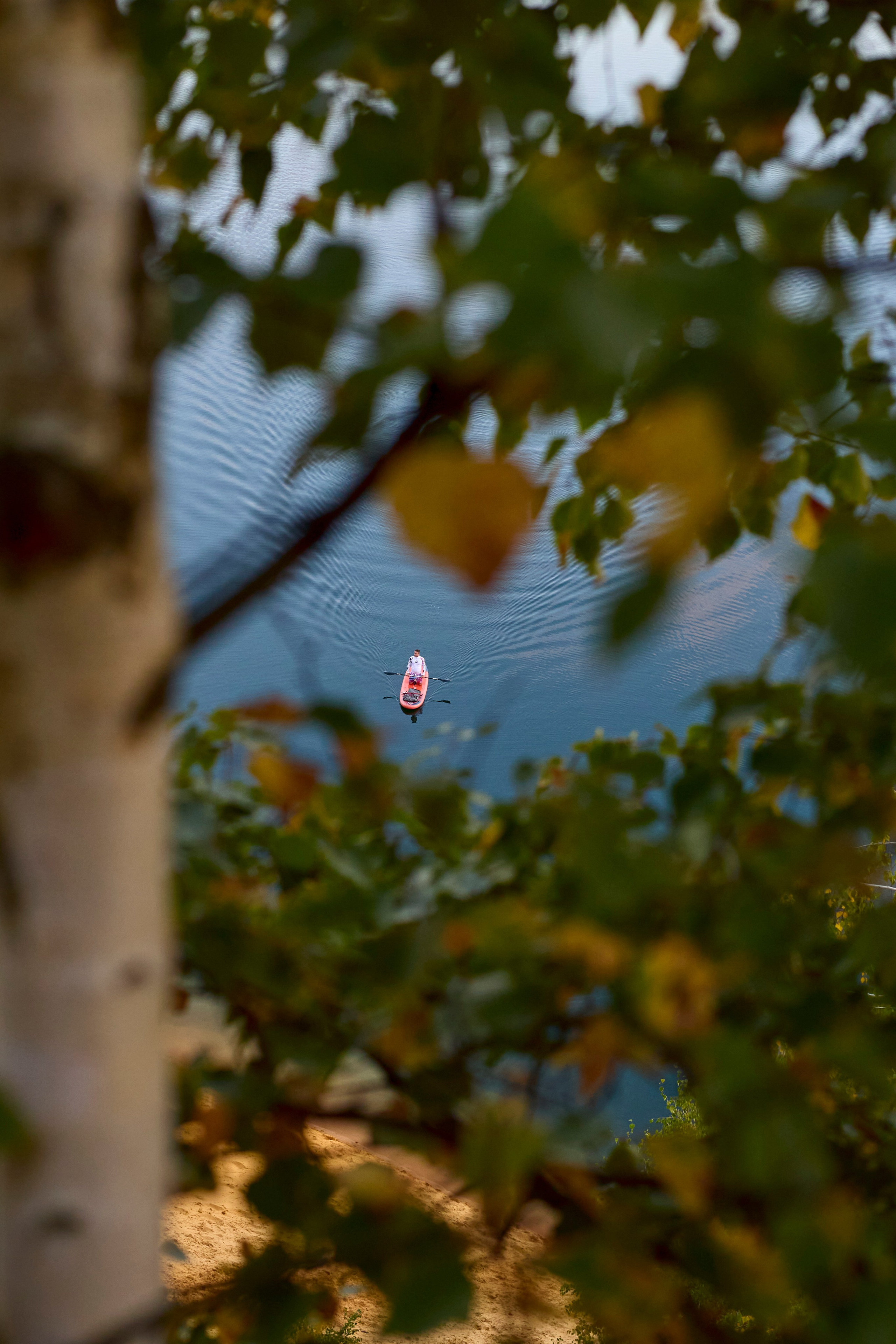 Люблю брать с собой фотоаппарат на прогулки в лесу или на природе. Осенью особое настроение в природе...ну вы знаете.