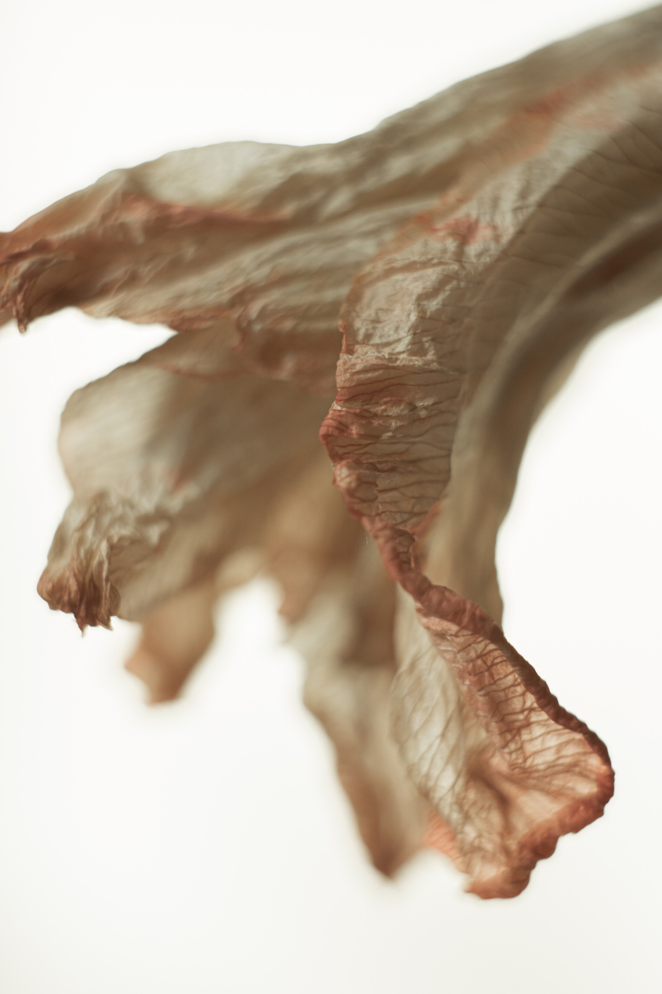 Купить принты Romanda. Art photographer Romanda Che