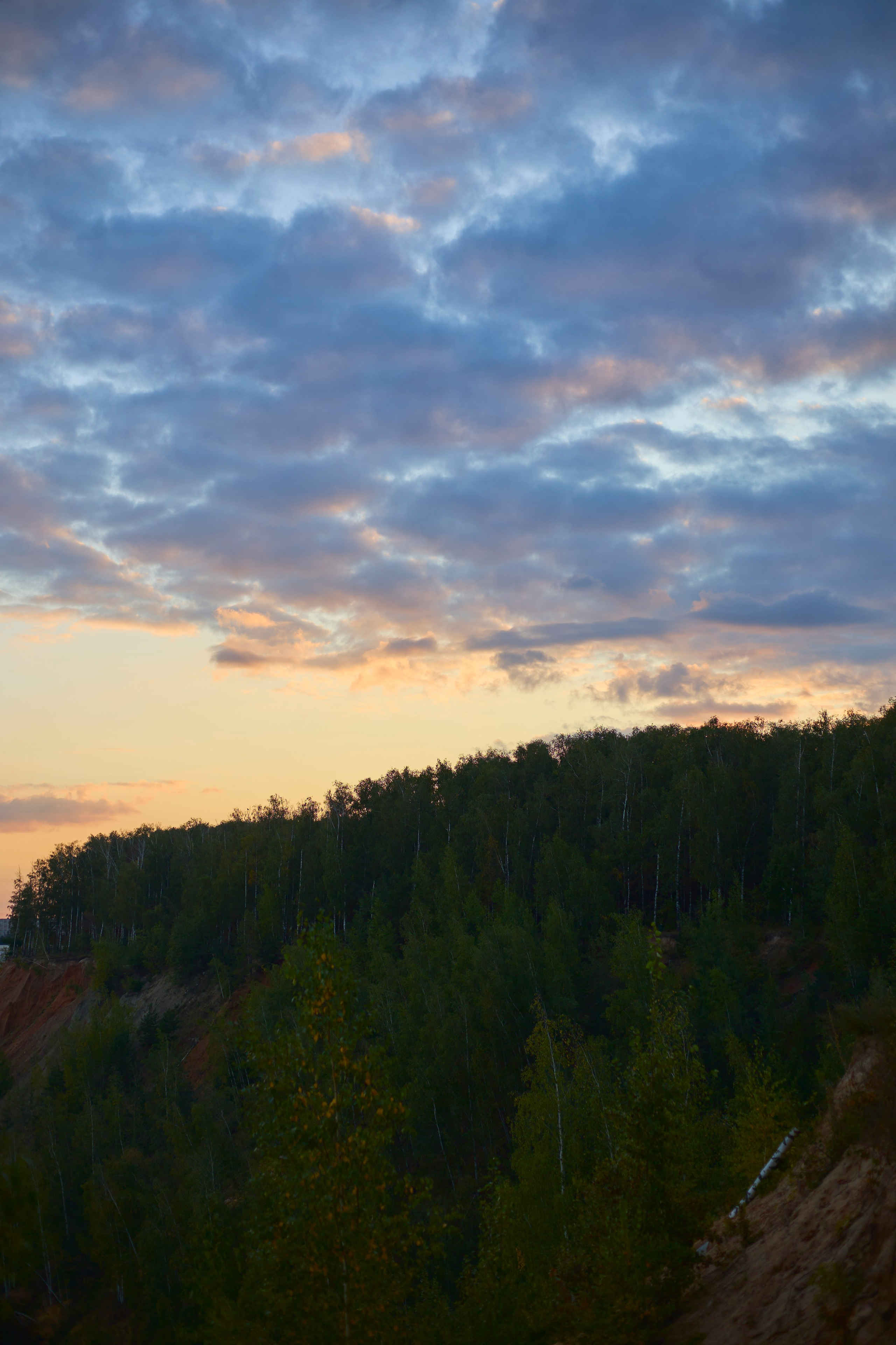 Люблю брать с собой фотоаппарат на прогулки в лесу или на природе. Осенью особое настроение в природе...ну вы знаете.