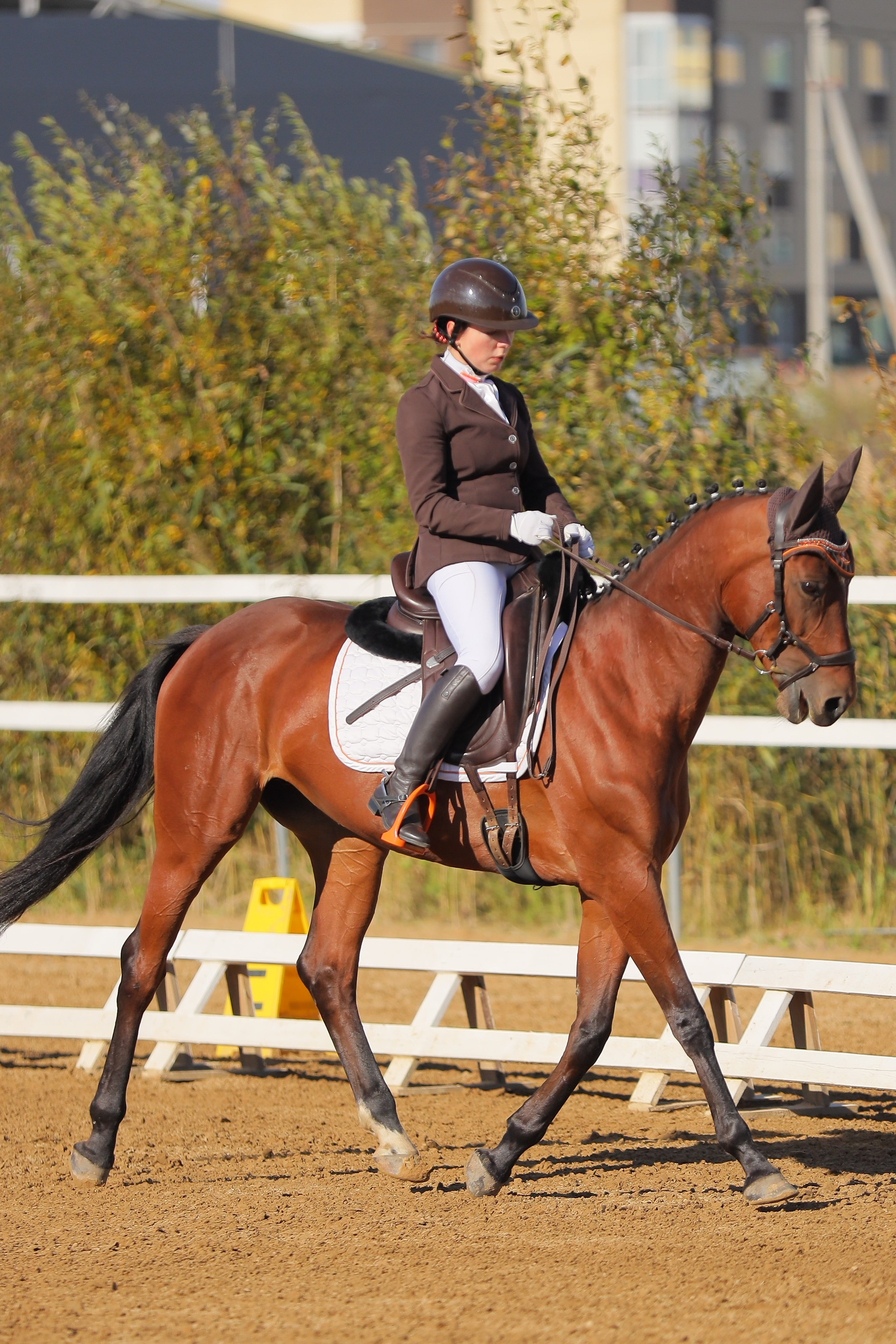 Магазин. Фотограф в Санкт-Петербурге Дмитрий Изъюров