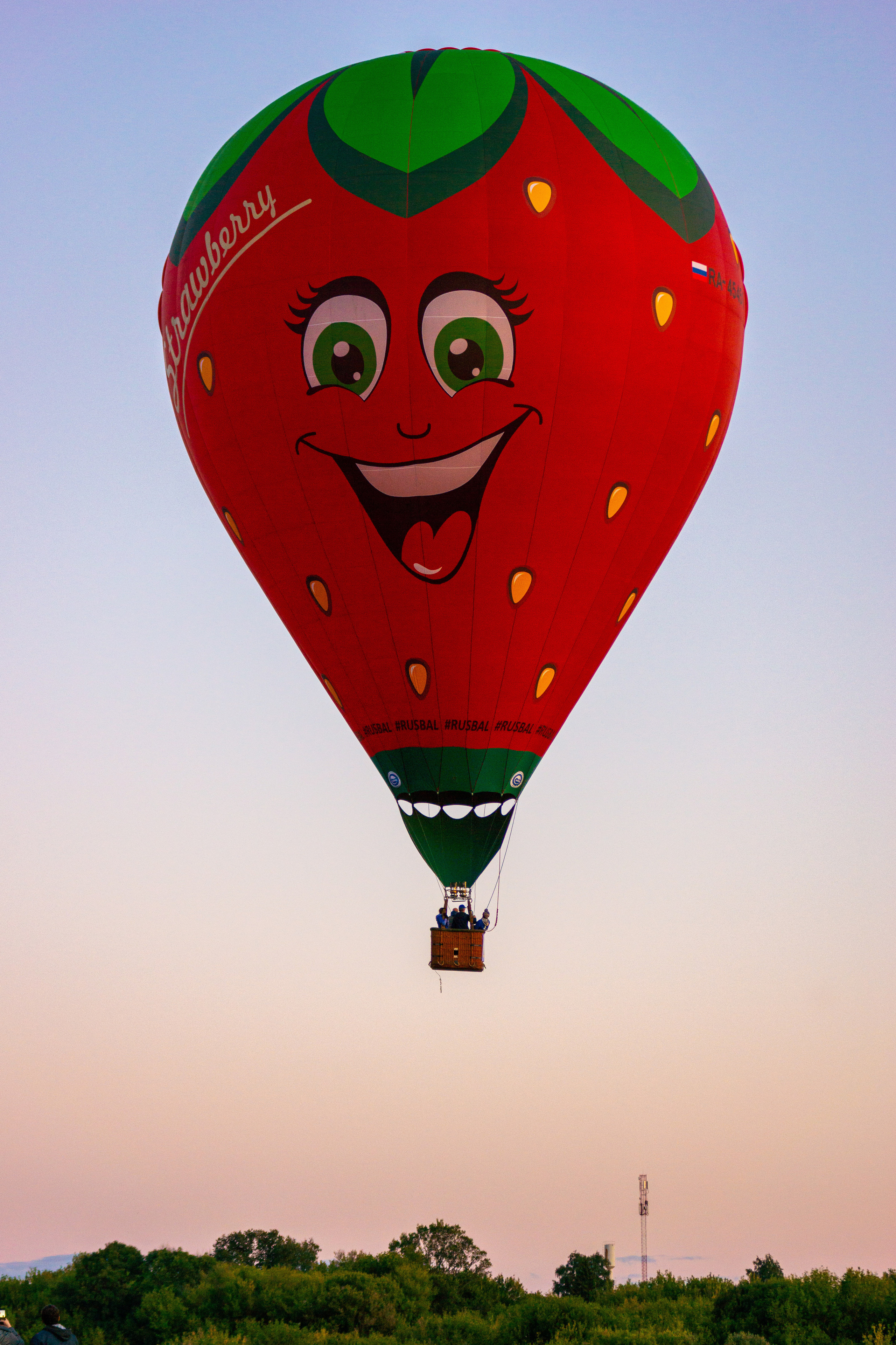 Фестиваль воздушных шаров. Фотограф Тамара Нижельская Воронеж