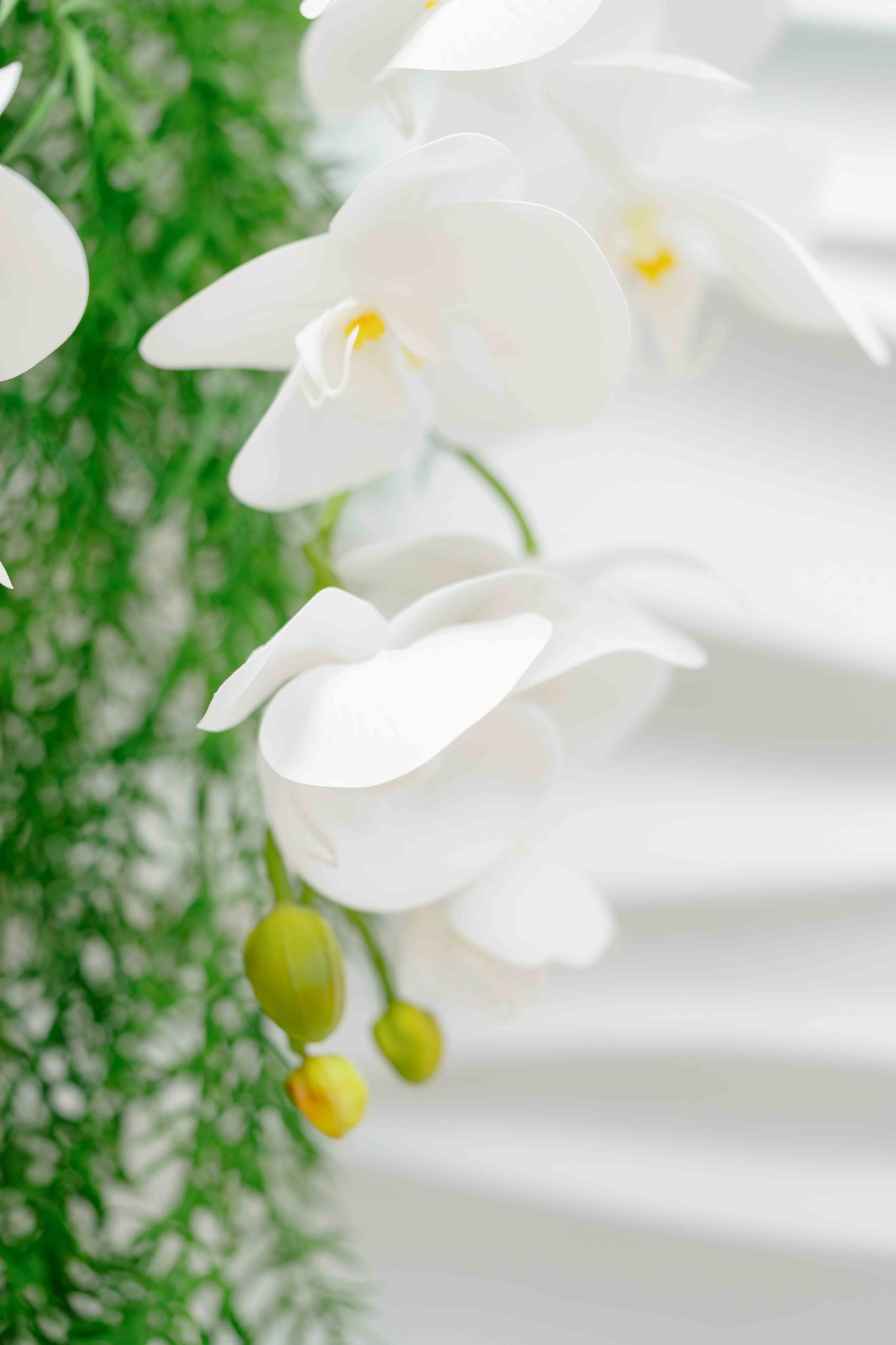 Расписаться в МФЦ вместо ЗАГСа?. Фотограф и видеограф в Москве и Абу Даби Мария Кулагина