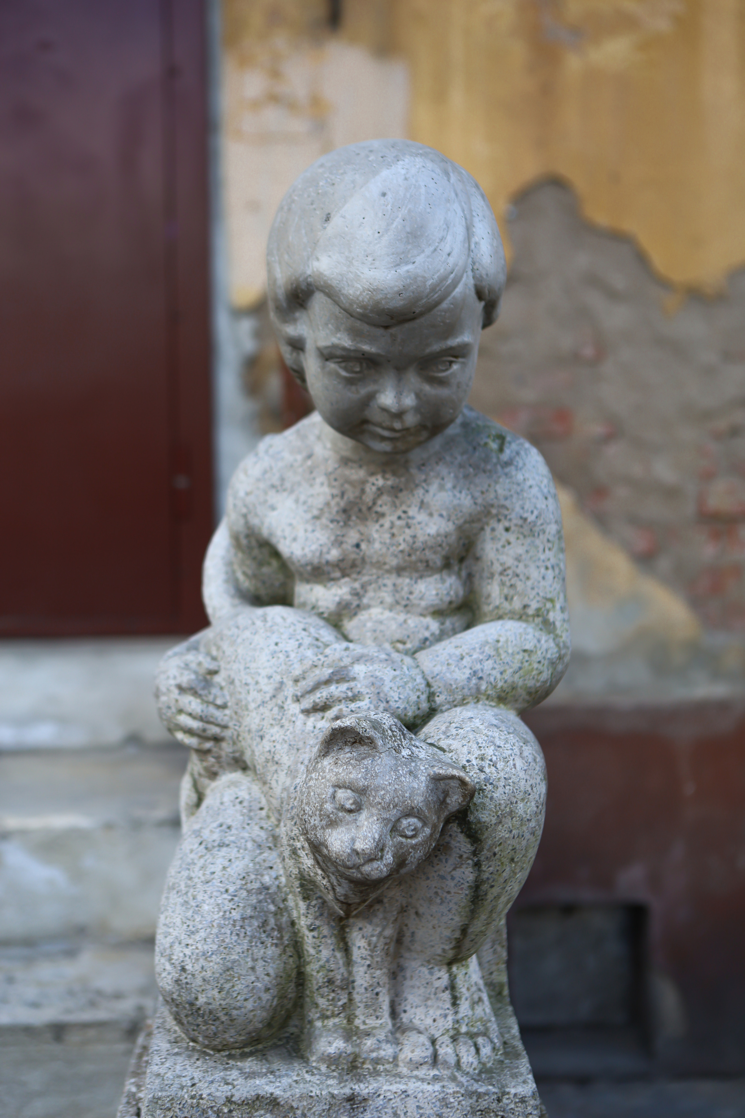 Котоперепись Калининграда. AI-контент (генерации ИИ-фото и видео), стоковые фотографии Калининградской области