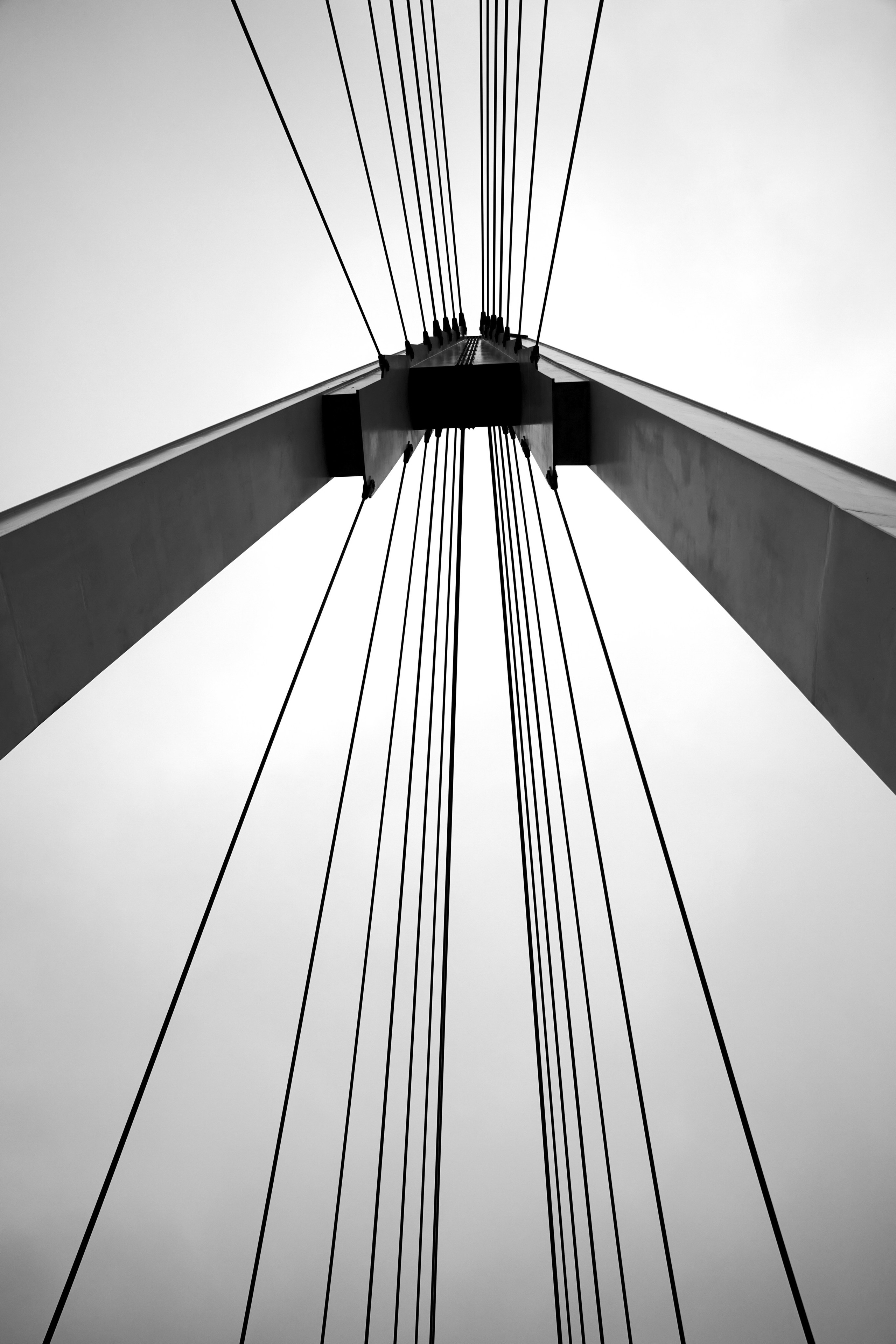 Симметричная композиция тросов уходящих вверх, минималистичная перспектива снизу вверх, абстрактная геометрия