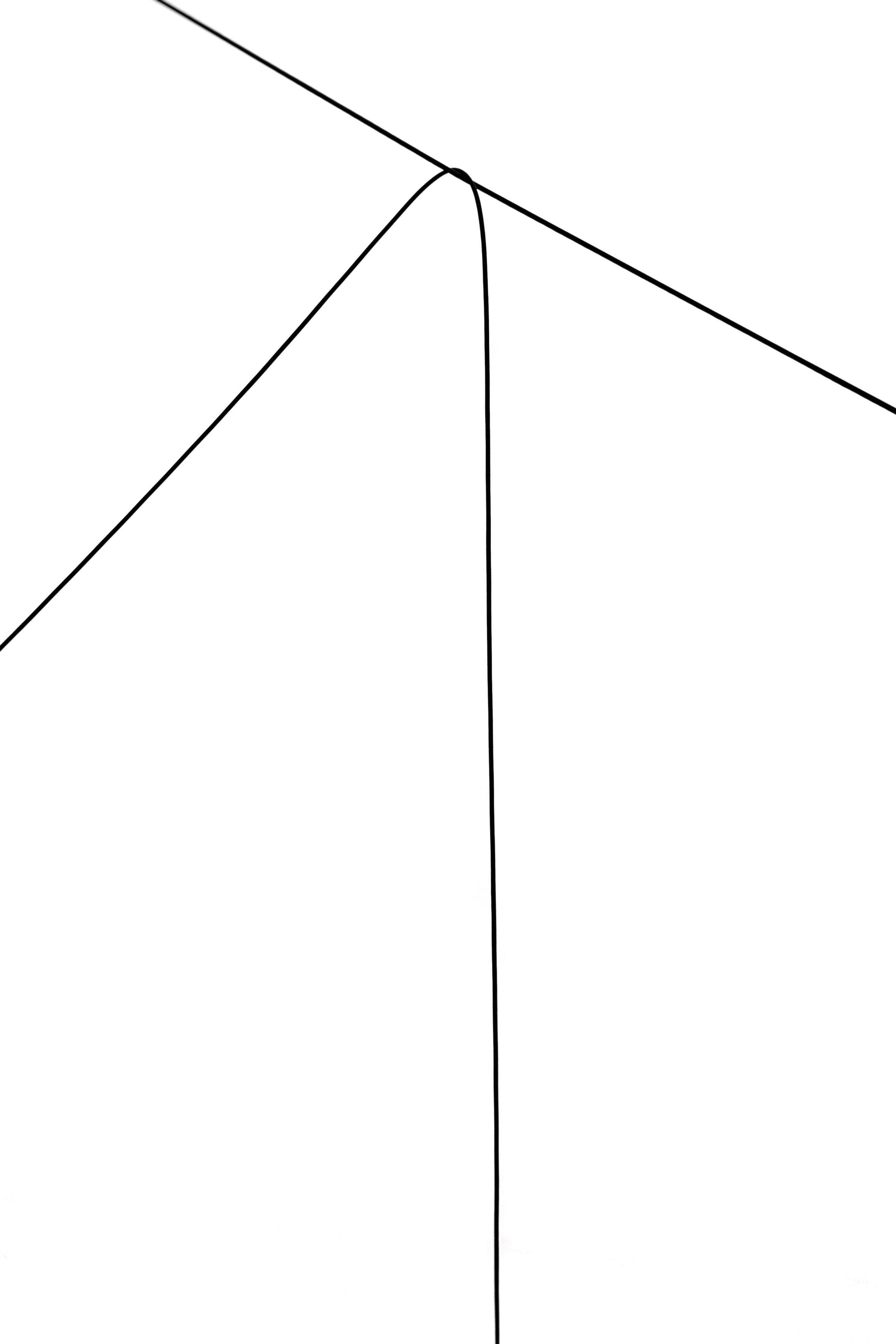 Минималистичная композиция пересекающихся черных линий на белом фоне, абстрактная геометрия, серия Entanglement.City