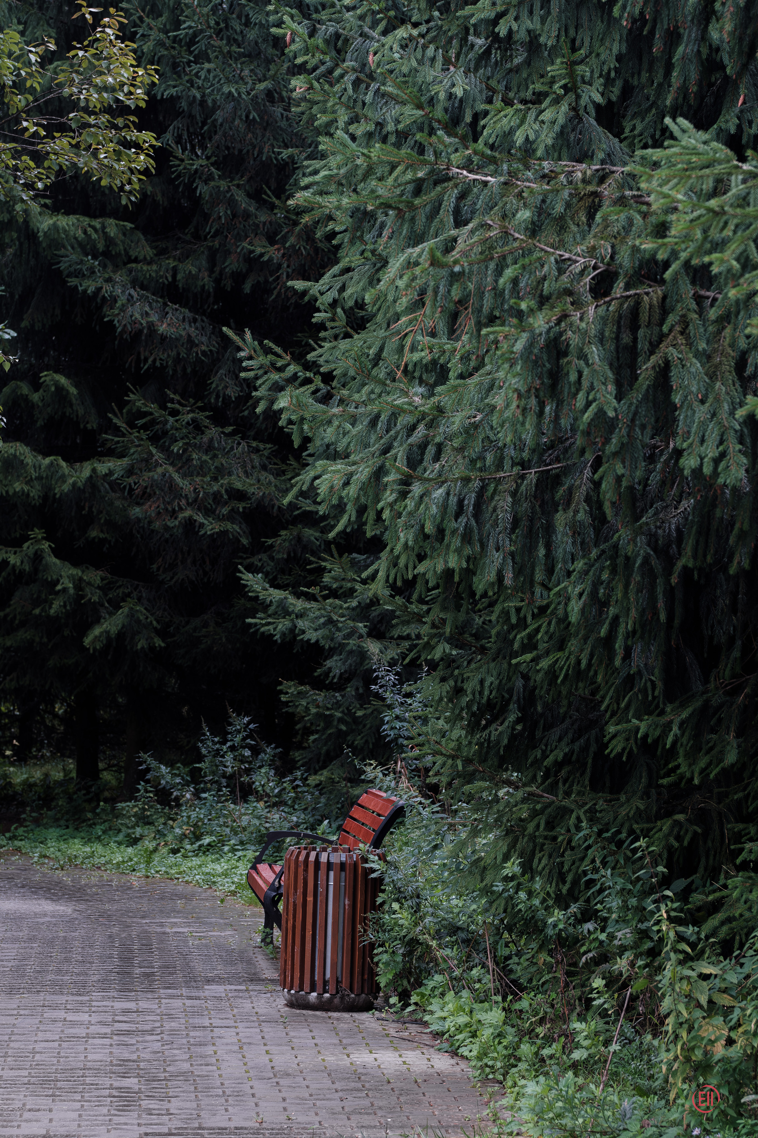 Фотограф в Москве