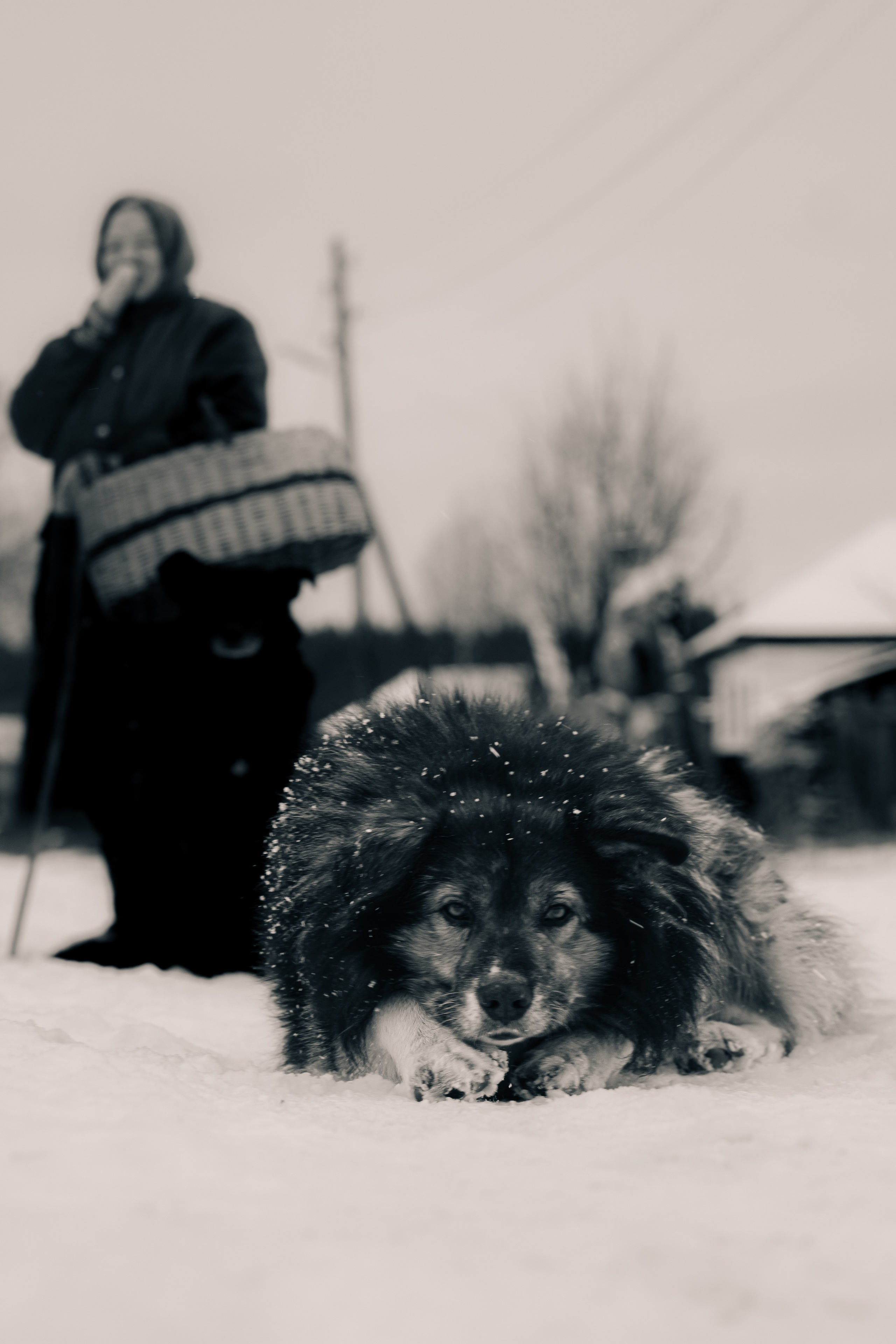 НЕ/СЛУЧАЙНЫЕ ep.5. Фотограф Валерия Кононова