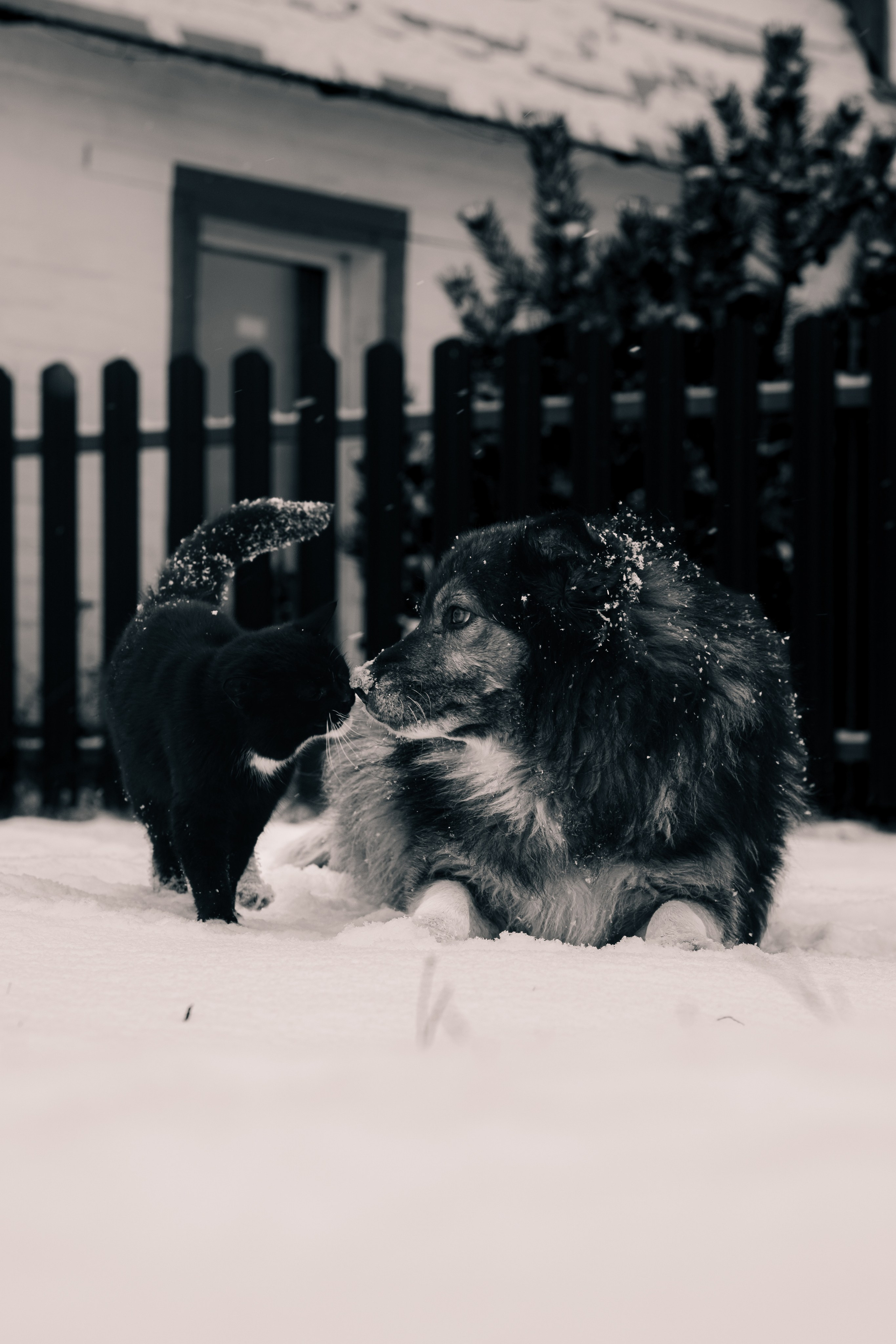НЕ/СЛУЧАЙНЫЕ ep.5. Фотограф Валерия Кононова