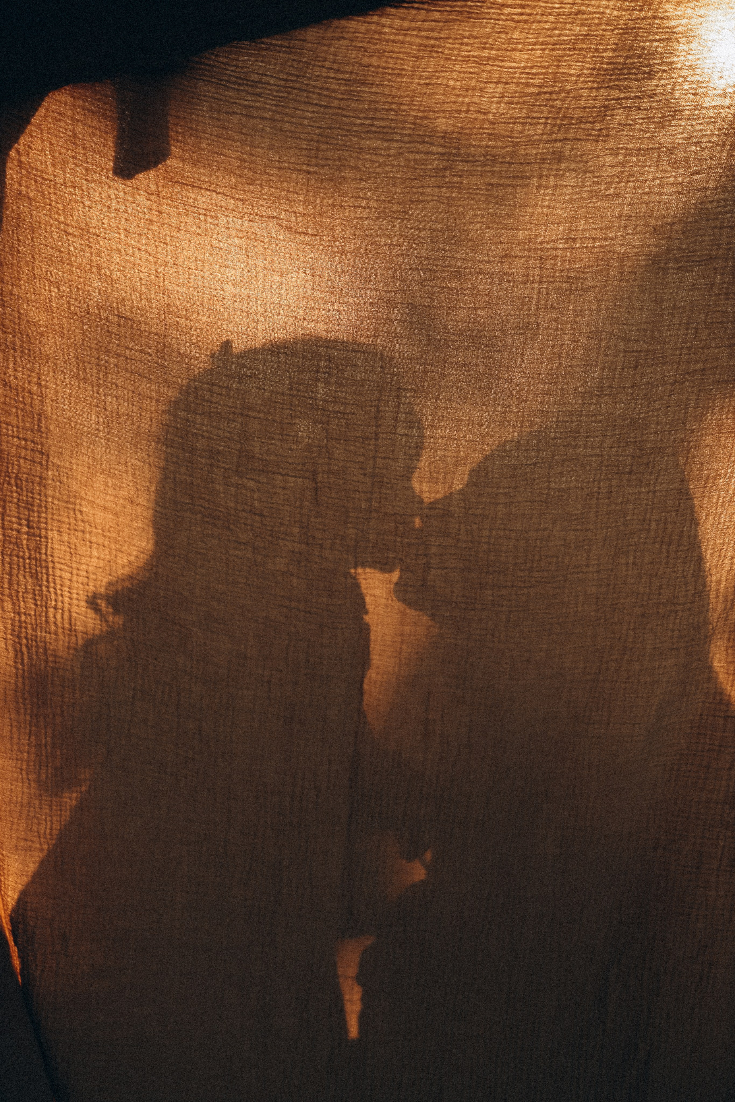 Услуги. Семейный и детский фотограф в Москве Анастасия Меликова