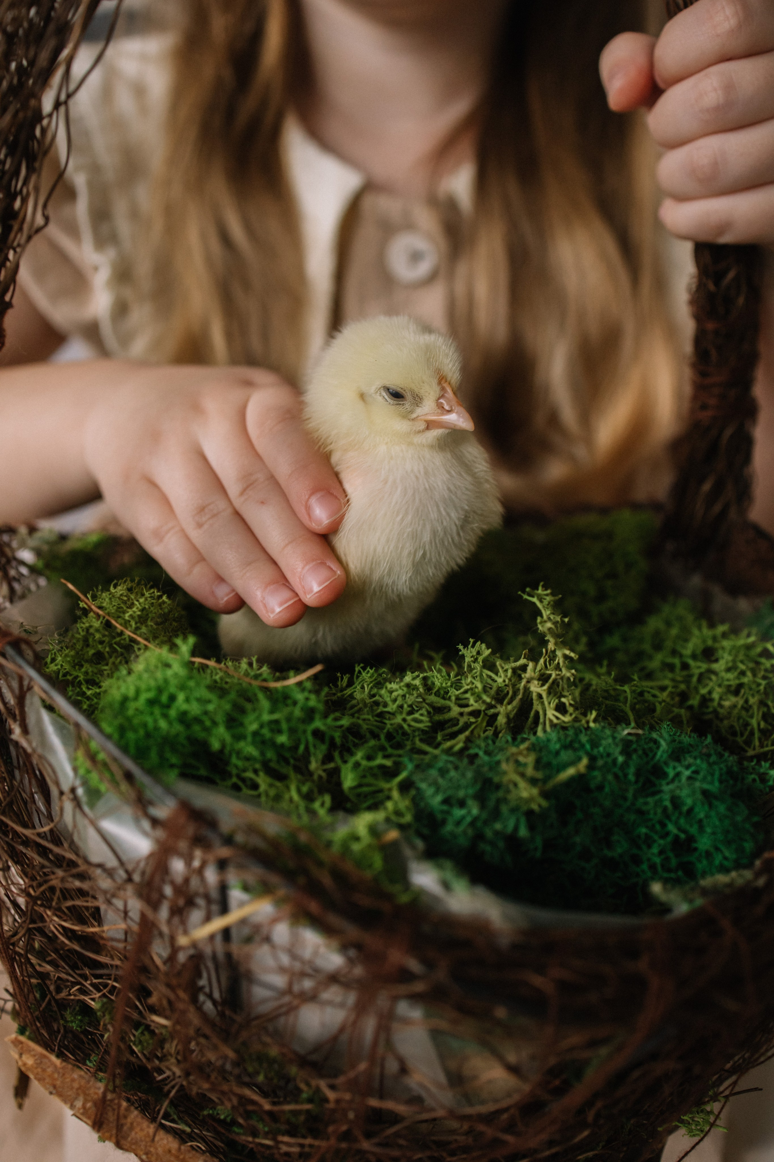 Коновалова Ольга | фотограф в Пензе и Заречном