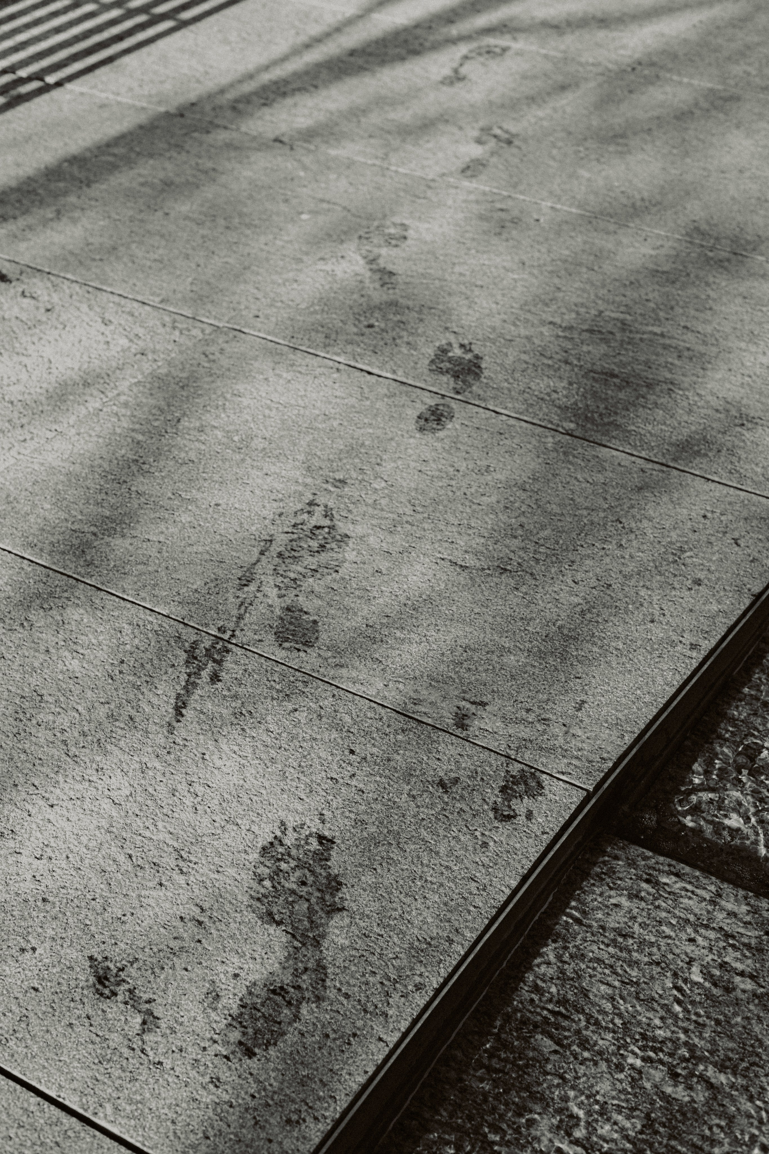 Ваш личный фотограф в Крыму Анна Лисицына