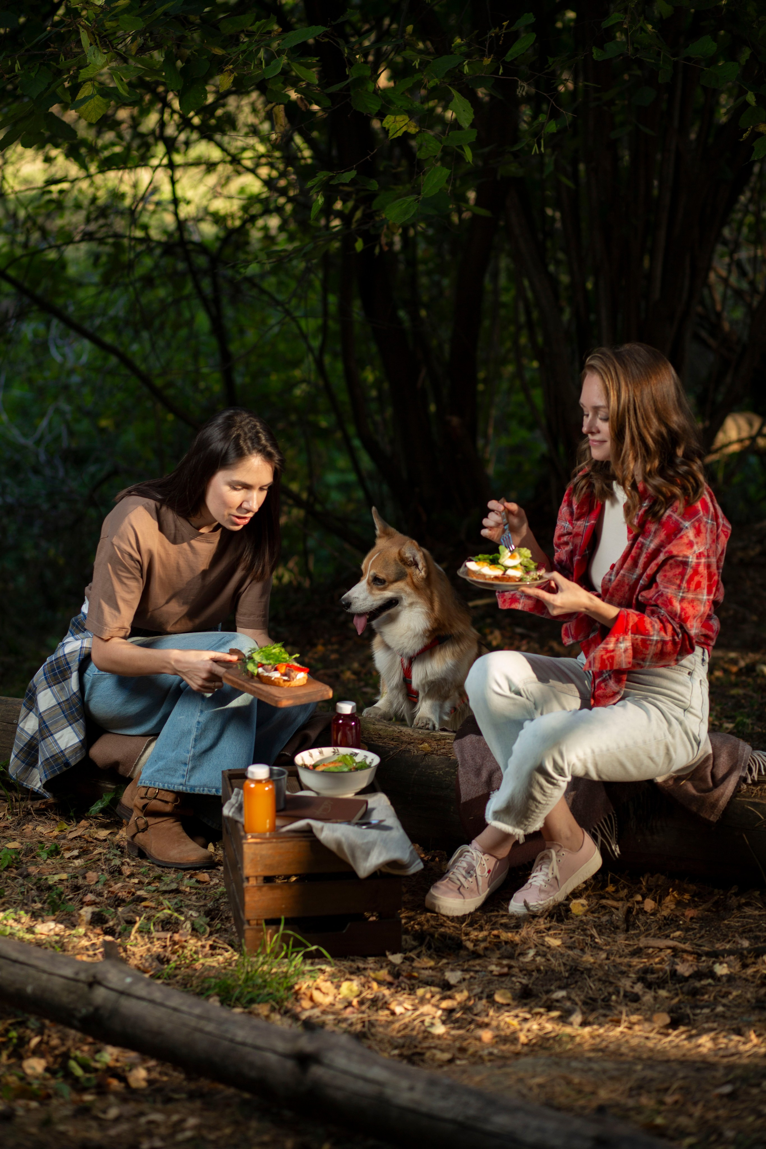 Съемка в лесу, фото пикника в лесу