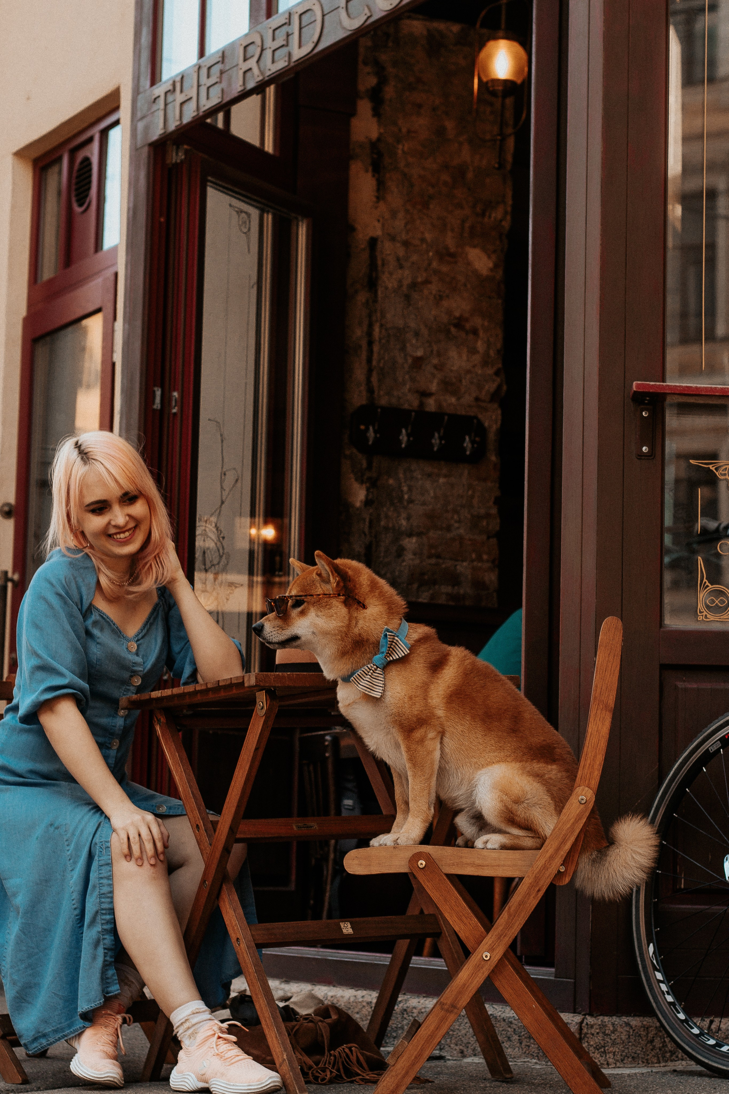 Благотворительный фото-проект для животных. Фотограф в Санкт-Петербурге Лиза Семченкова