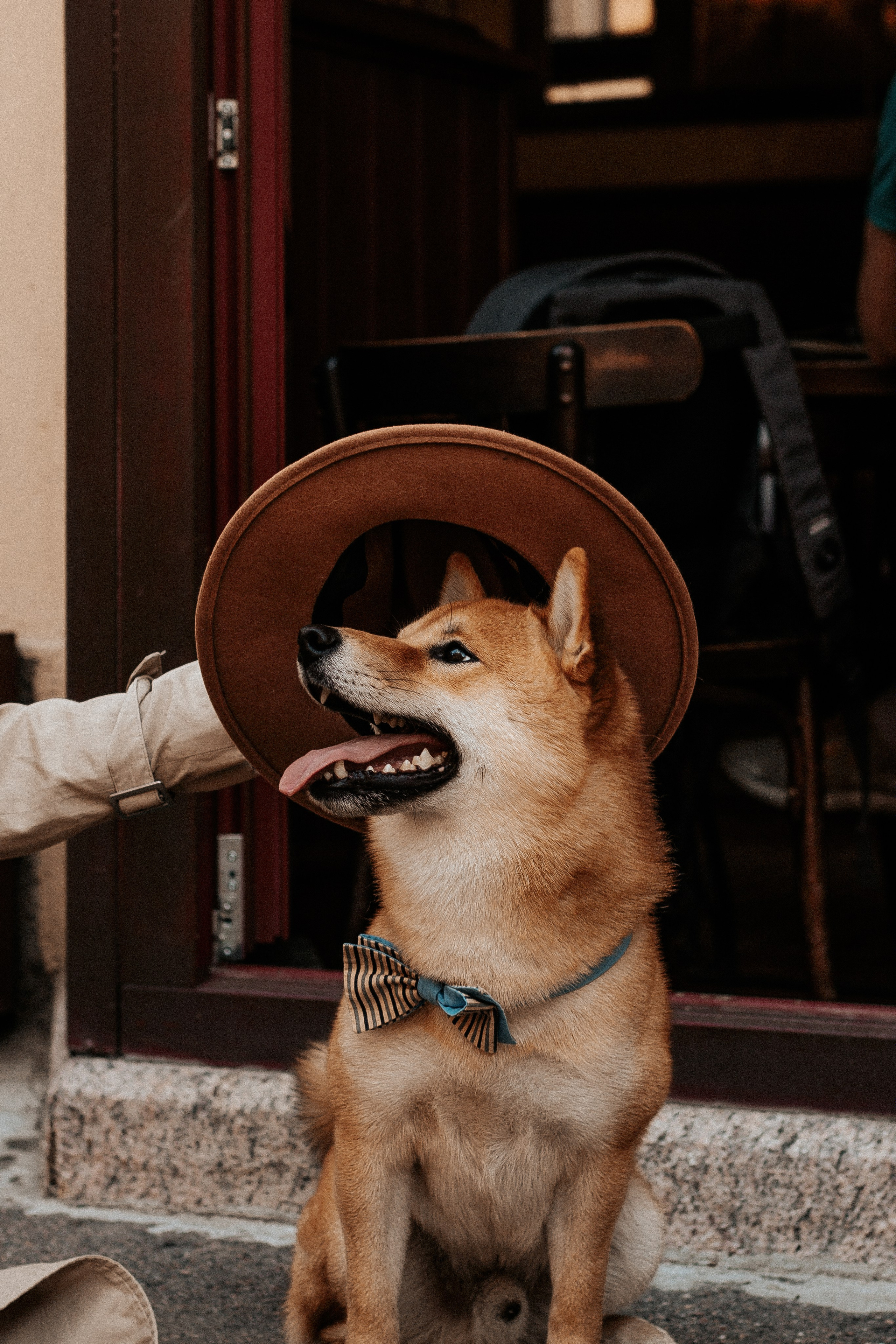 Авторские фото и видео проекты. Фотограф в Санкт-Петербурге Лиза Семченкова