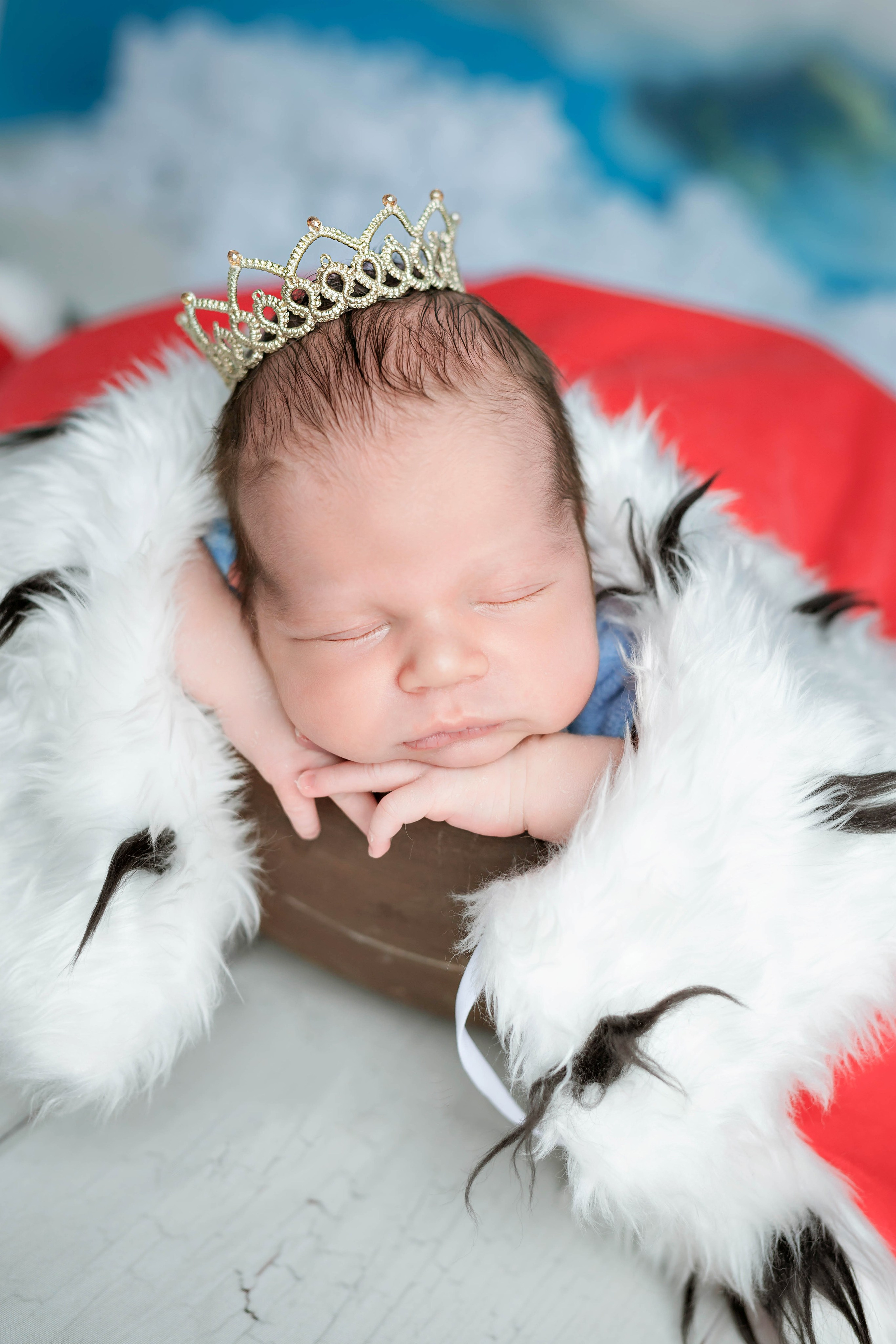 Услуги. Фотограф Болотова Иветта